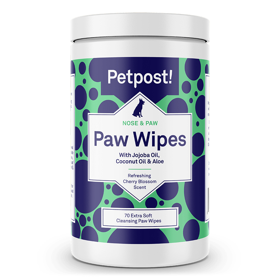 Paw Wipes for dogs by Petpost for removing dirt and allergens