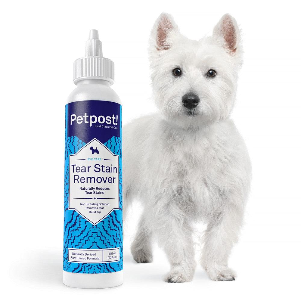 Tear Stain Remover Best Maltese Tear Stains Solution Petpost