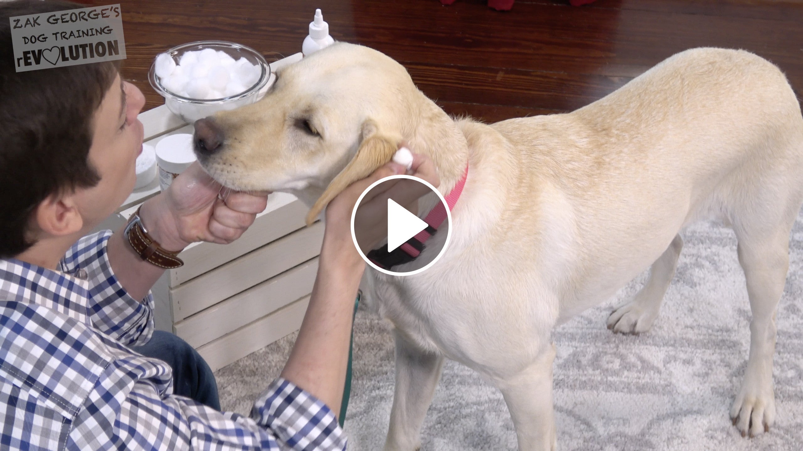 How to Teach Your Dog to LOVE Having their Ears Cleaned: Zak George