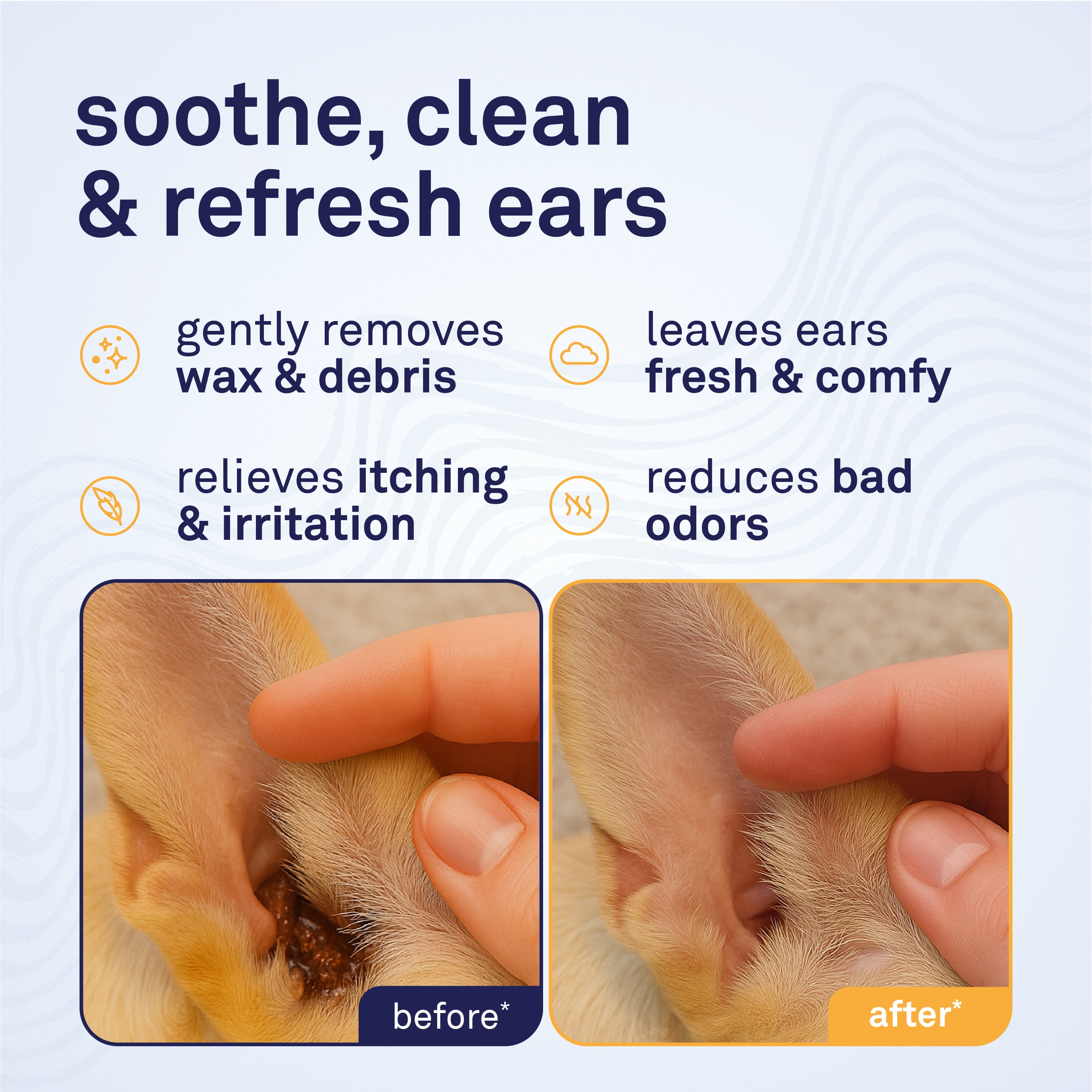 Petpost Dog Ear Cleaner Solution - Natural Coconut Oil & Aloe Drops for Dogs - Gentle Cleanser for Wax, Odor & Itchy Ears - Alcohol-Free, Vet-Approved - 8 oz