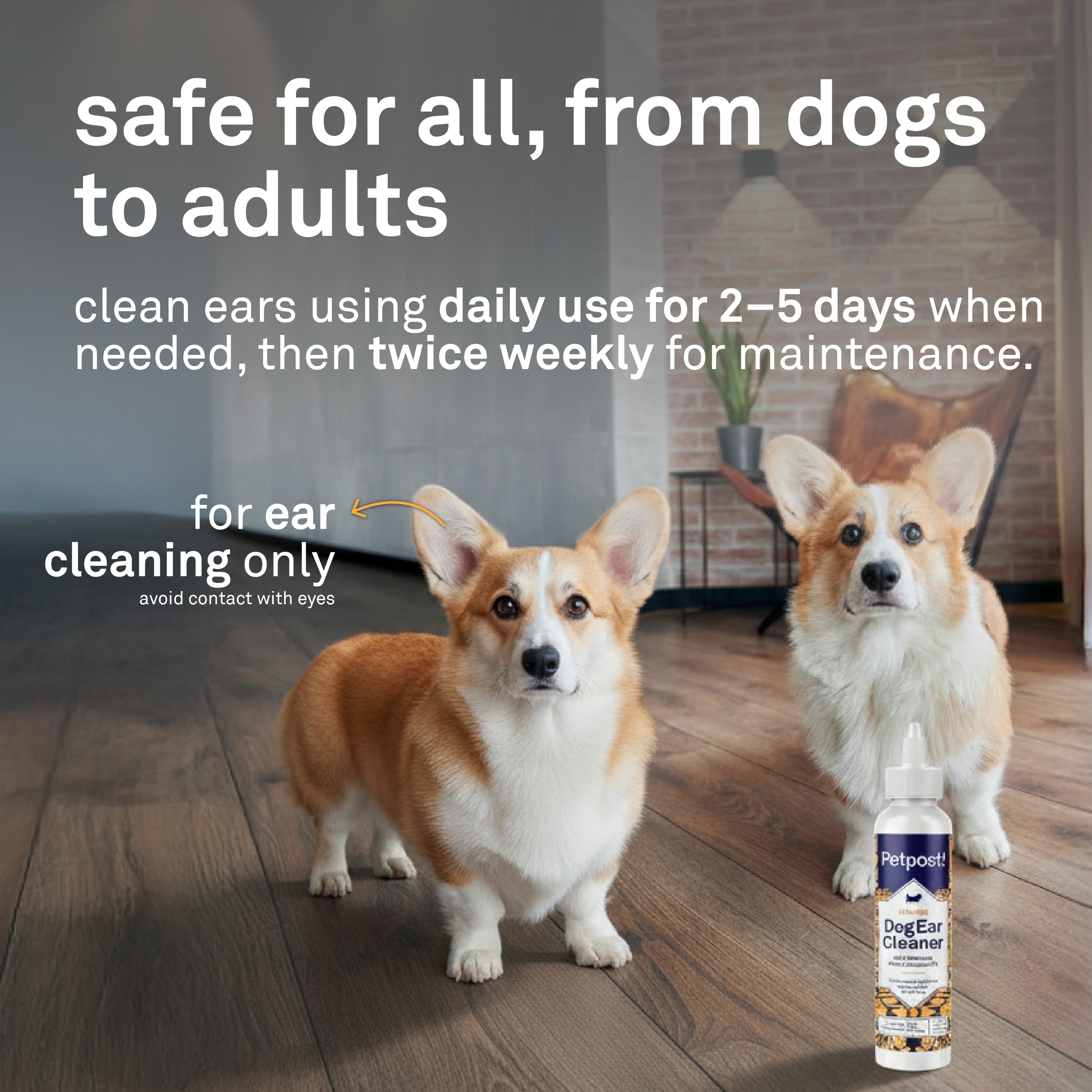 Petpost Dog Ear Cleaner Solution - Natural Coconut Oil & Aloe Drops for Dogs - Gentle Cleanser for Wax, Odor & Itchy Ears - Alcohol-Free, Vet-Approved - 8 oz