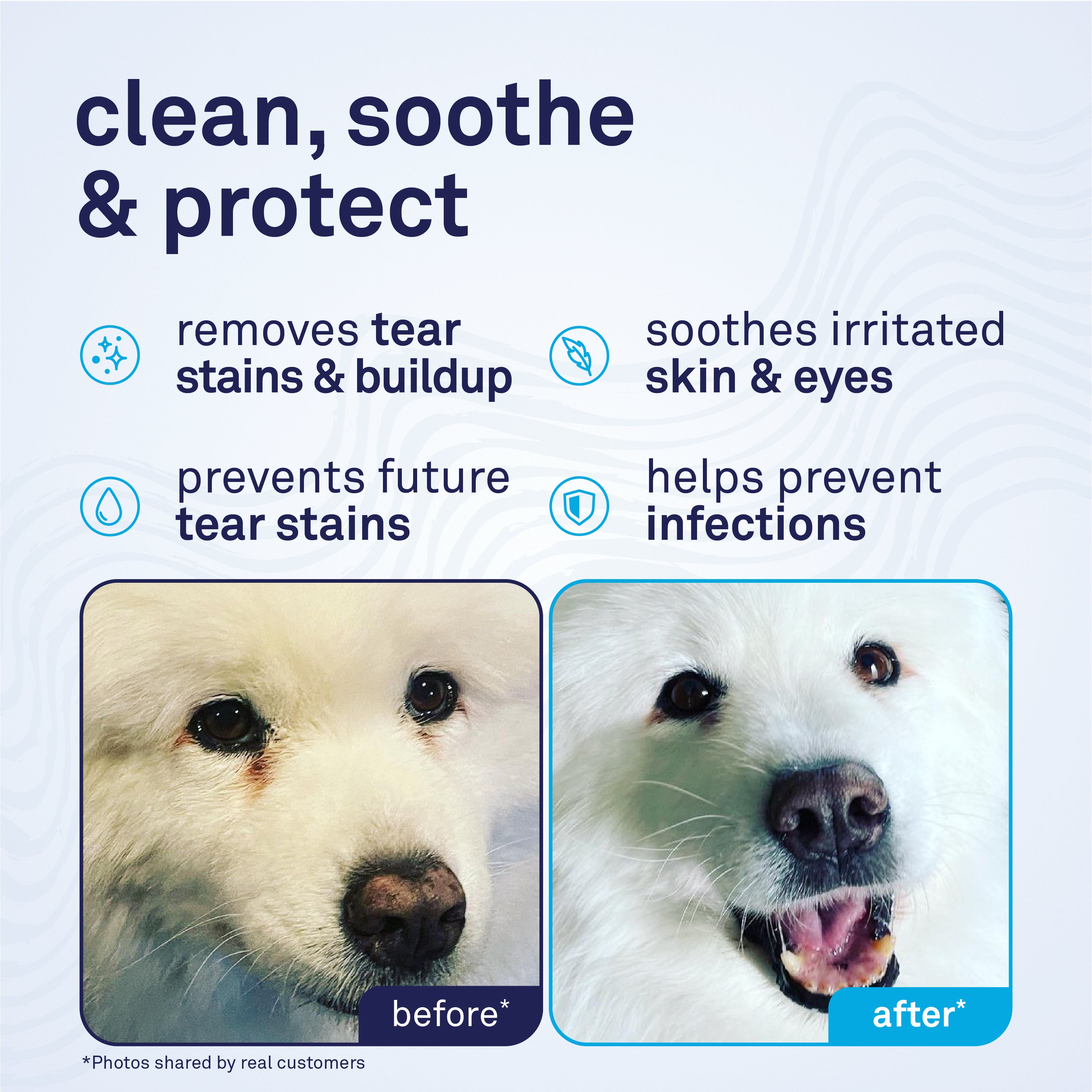 Petpost Tear Stain Remover Solution for Dogs - 8 oz Bottle - Gentle Coconut Oil Eye Cleanser for White Fur Breeds - Chemical & Bleach Free