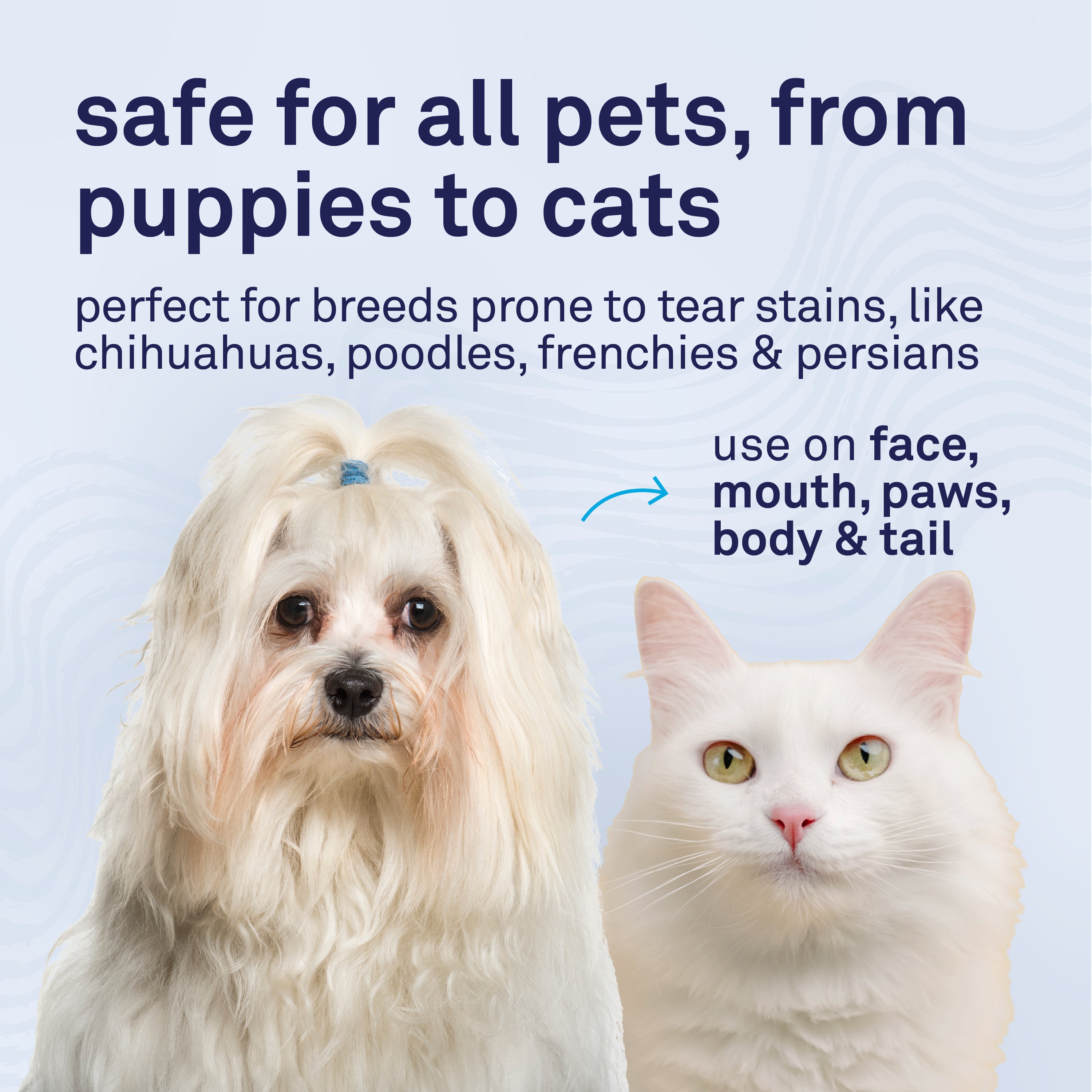 Petpost Tear Stain Remover Solution for Dogs - 8 oz Bottle - Gentle Coconut Oil Eye Cleanser for White Fur Breeds - Chemical & Bleach Free