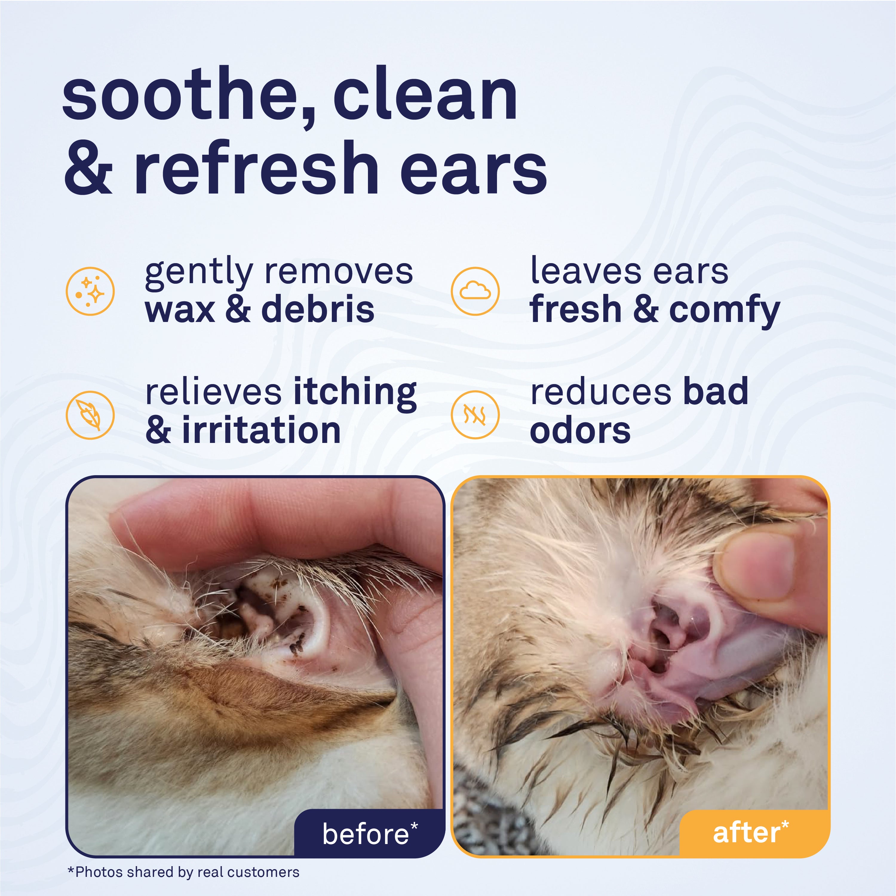 Petpost Cat Ear Cleaner - Natural Coconut Oil & Aloe Drops - Alcohol-Free, Non-Stinging Solution for Wax, Dirt & Odor - Helps Prevent Ear Mites - 8 oz