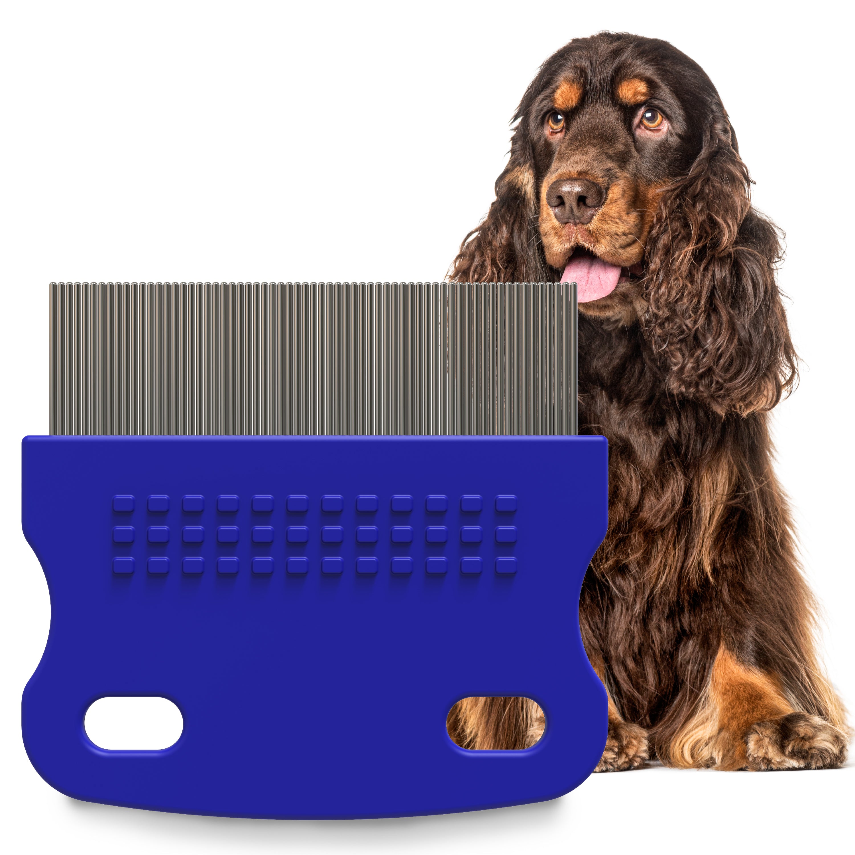Petpost Tear Stain Remover Comb for Dogs - Extra Fine Stainless Steel Eye Comb with 65 Rounded Pins - Gentle Grooming Tool for Maltese, Shih Tzu & Small Breeds
