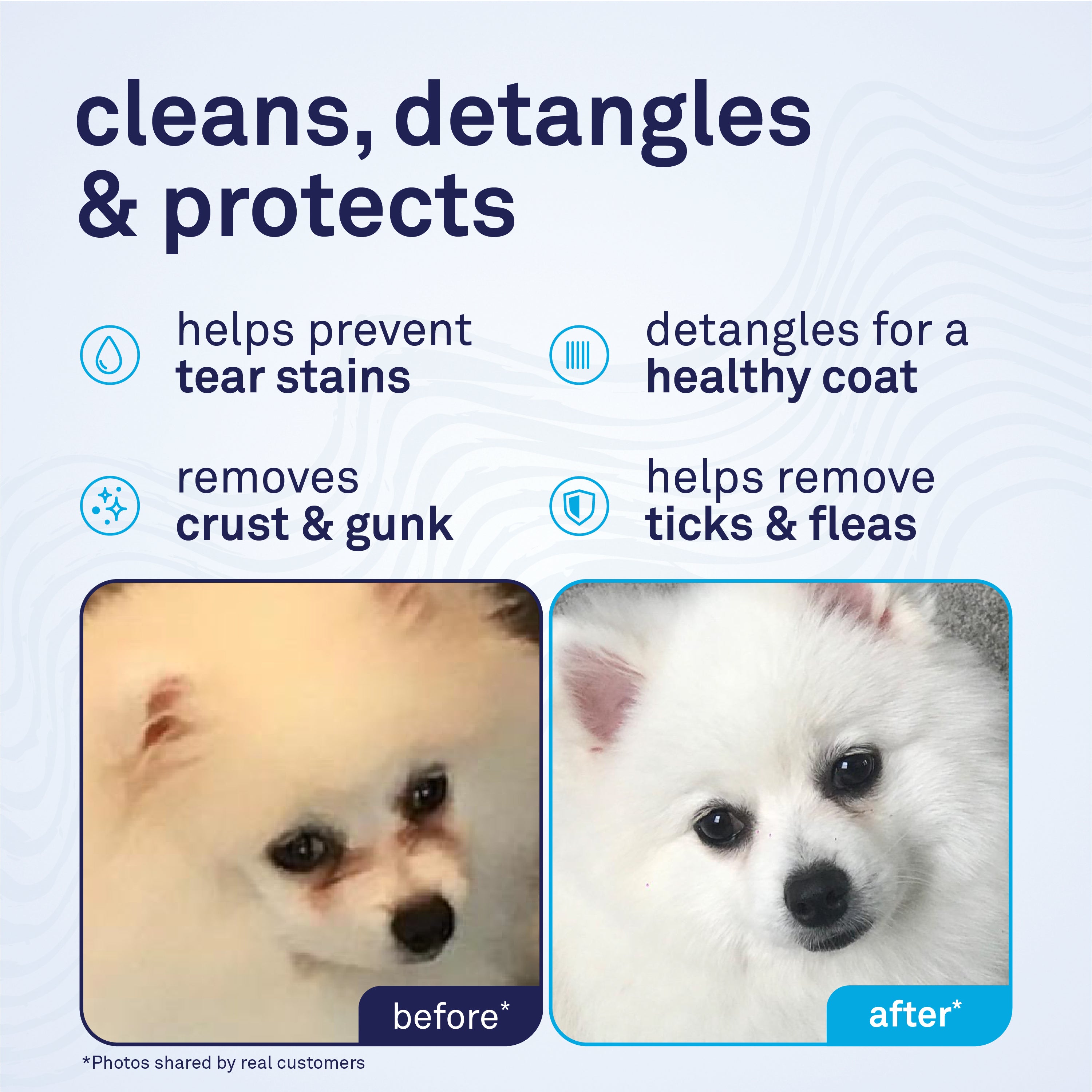 Petpost Tear Stain Remover Comb for Dogs - Extra Fine Stainless Steel Eye Comb with 65 Rounded Pins - Gentle Grooming Tool for Maltese, Shih Tzu & Small Breeds