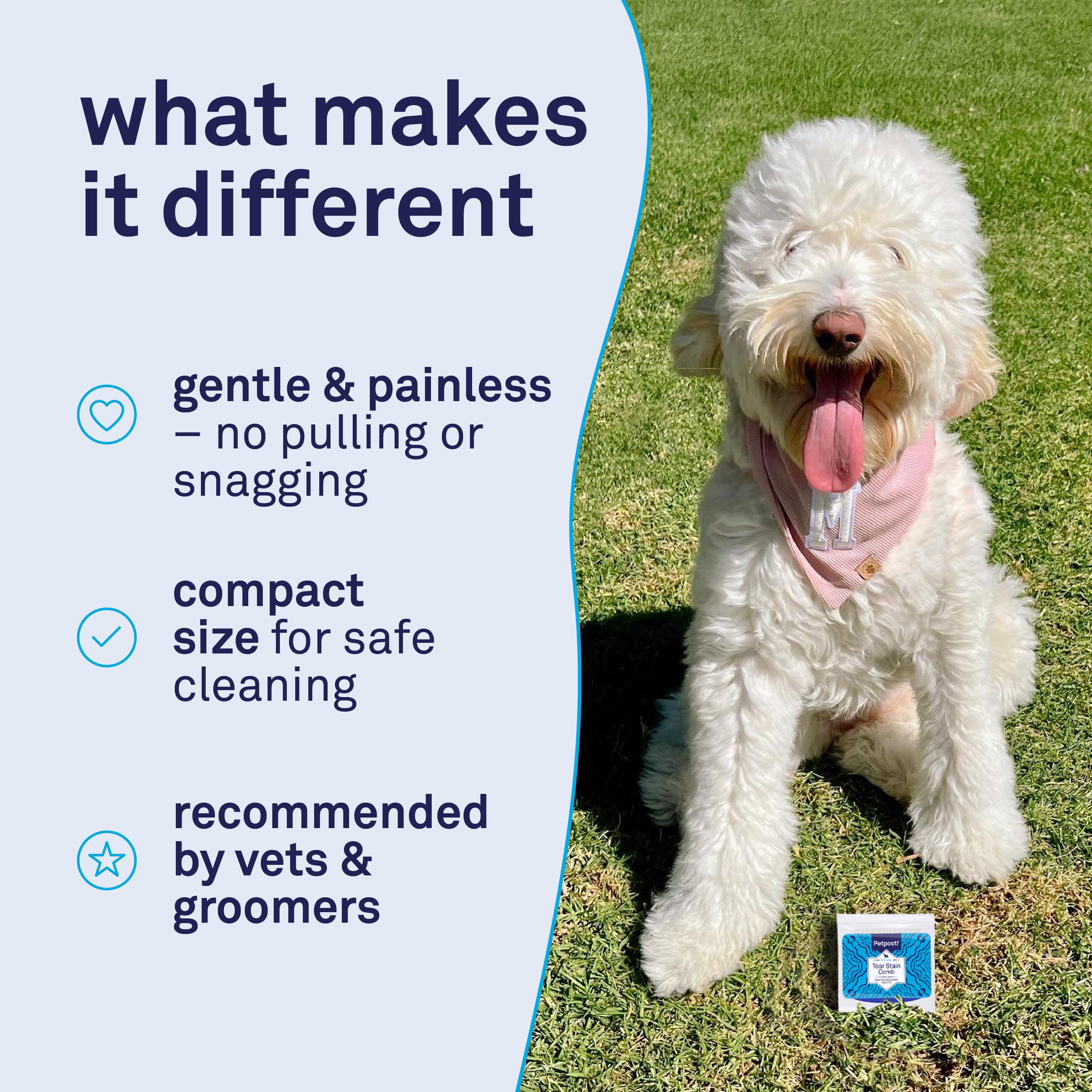 Petpost Tear Stain Remover Comb for Dogs - Extra Fine Stainless Steel Eye Comb with 65 Rounded Pins - Gentle Grooming Tool for Maltese, Shih Tzu & Small Breeds