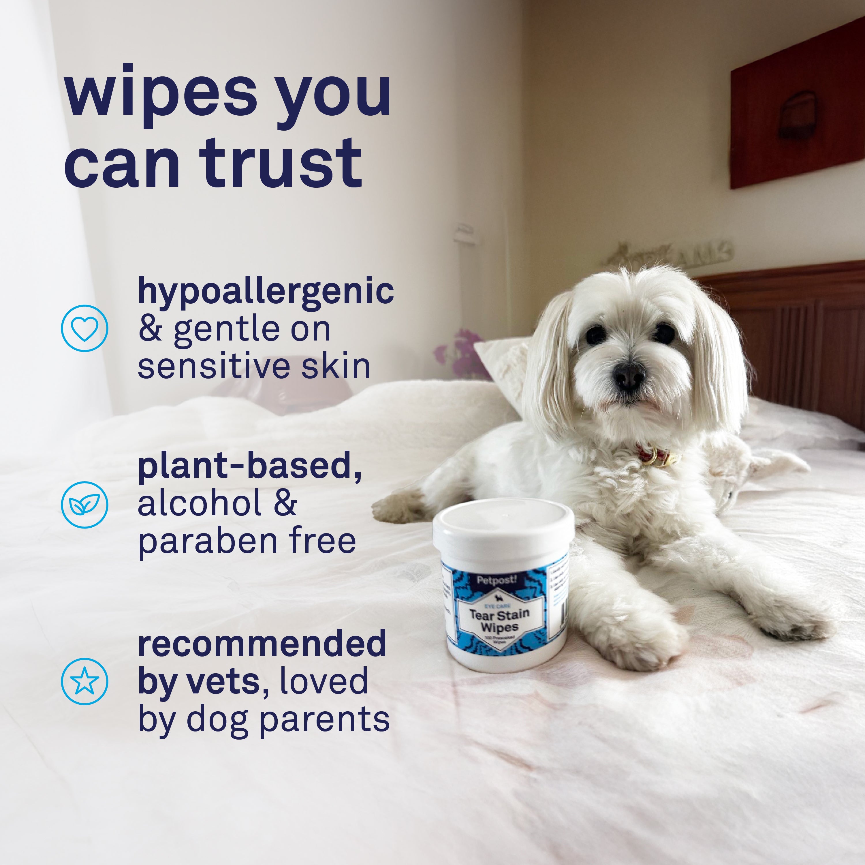 Petpost Tear Stain Remover Wipes - 100 Pre-Soaked Cotton Pads - Gentle Eye Crust Cleanser for White Fur Dogs & Cats - Chemical & Bleach Free by Petpost for grooming dogs
