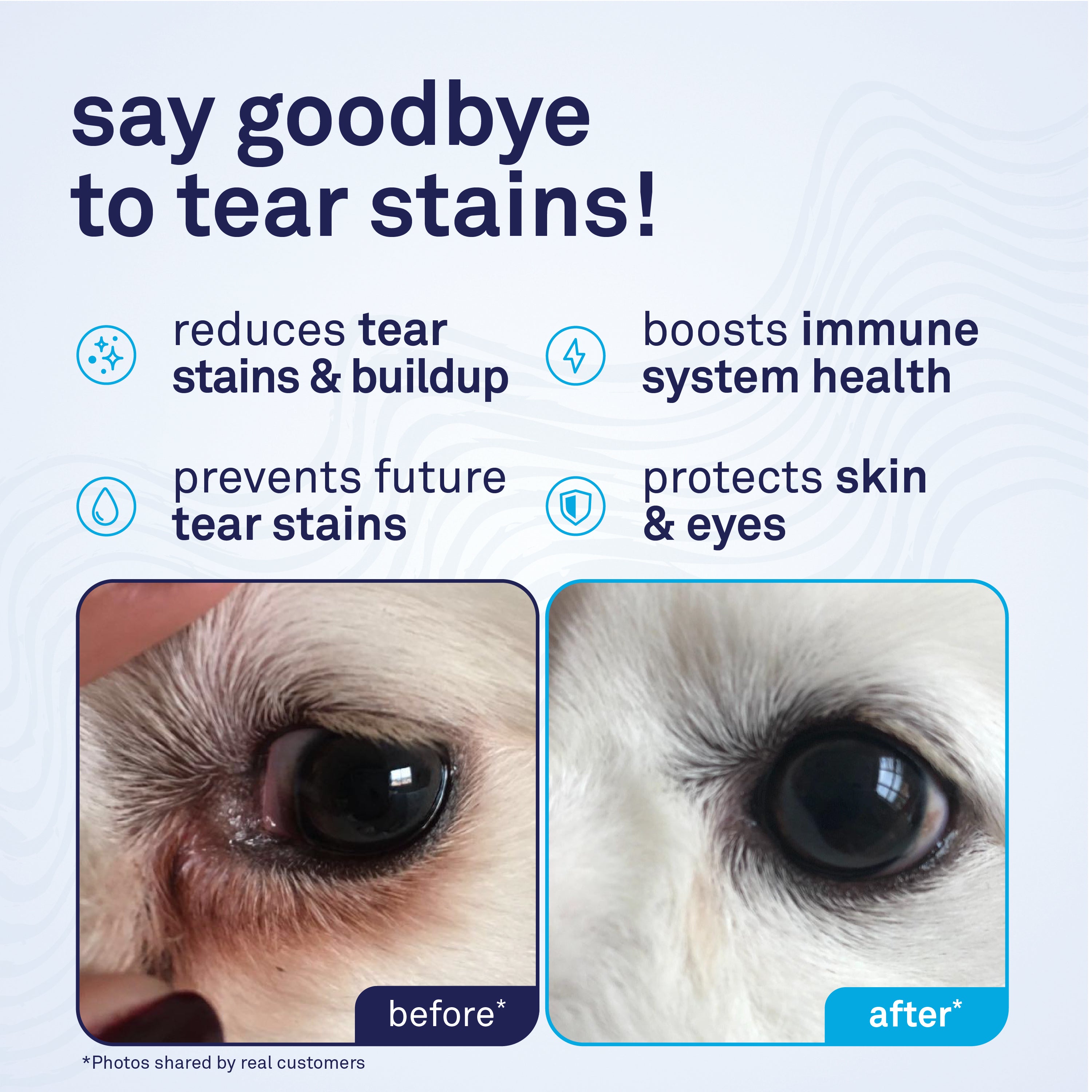 Petpost Tear Stain Soft Chews for Dogs - 90 Daily Chews - Natural Supplement for Tear Stains on Maltese, Shih Tzu & White-Fur Breeds - Tylosin Free