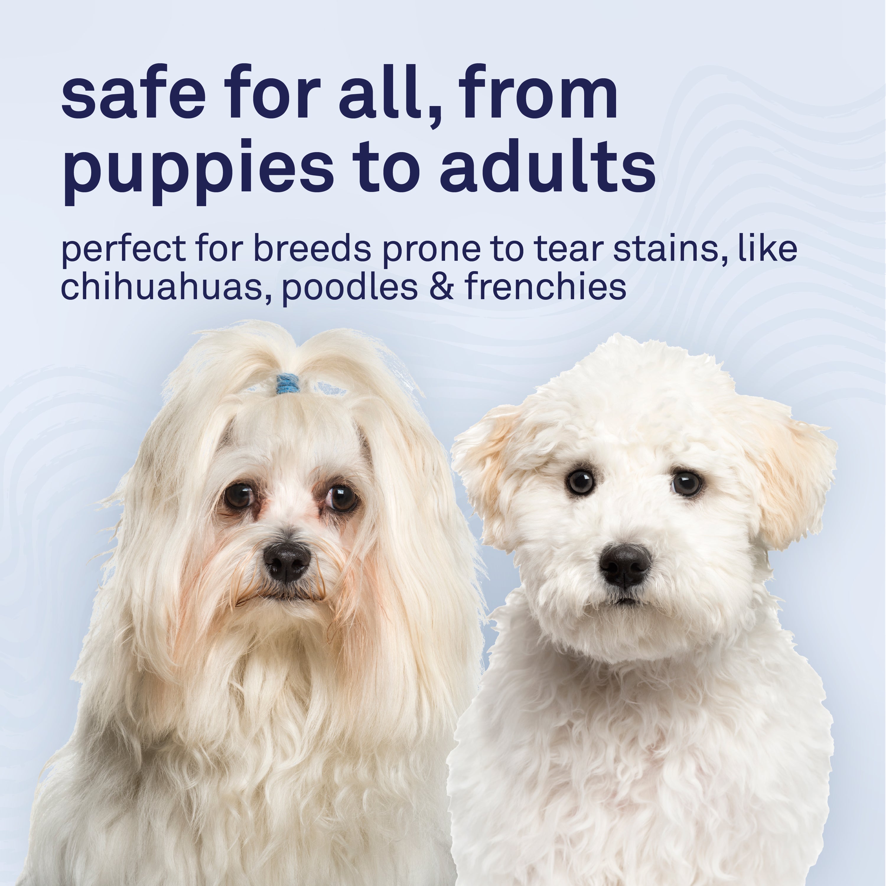 Petpost Tear Stain Soft Chews for Dogs - 90 Daily Chews - Natural Supplement for Tear Stains on Maltese, Shih Tzu & White-Fur Breeds - Tylosin Free