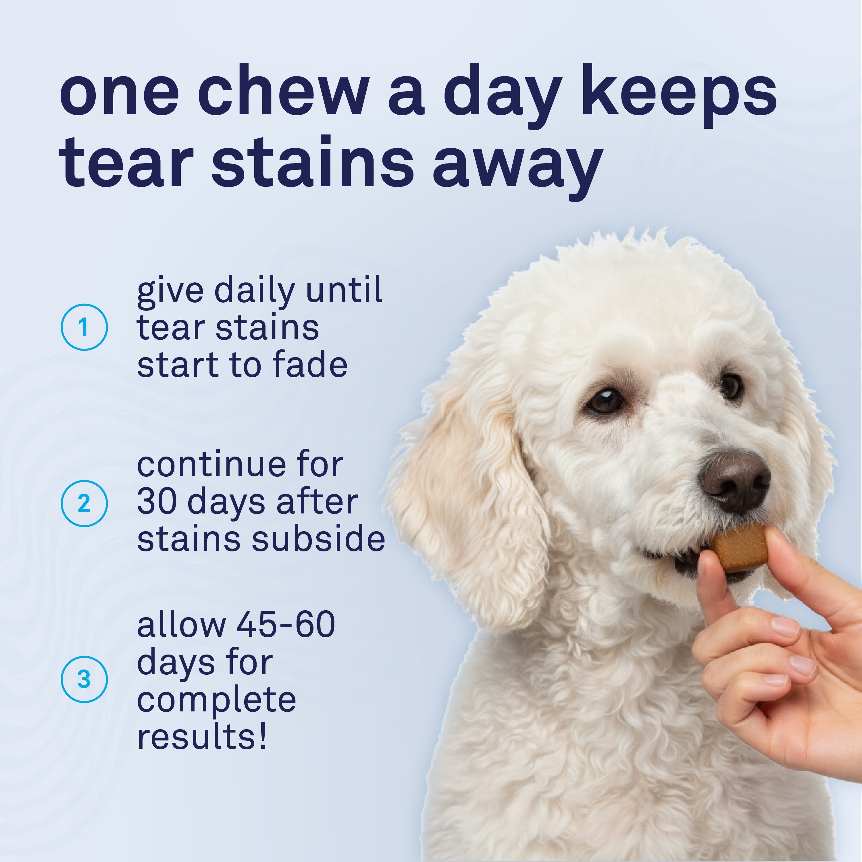 Petpost Tear Stain Soft Chews for Dogs - 90 Daily Chews - Natural Supplement for Tear Stains on Maltese, Shih Tzu & White-Fur Breeds - Tylosin Free
