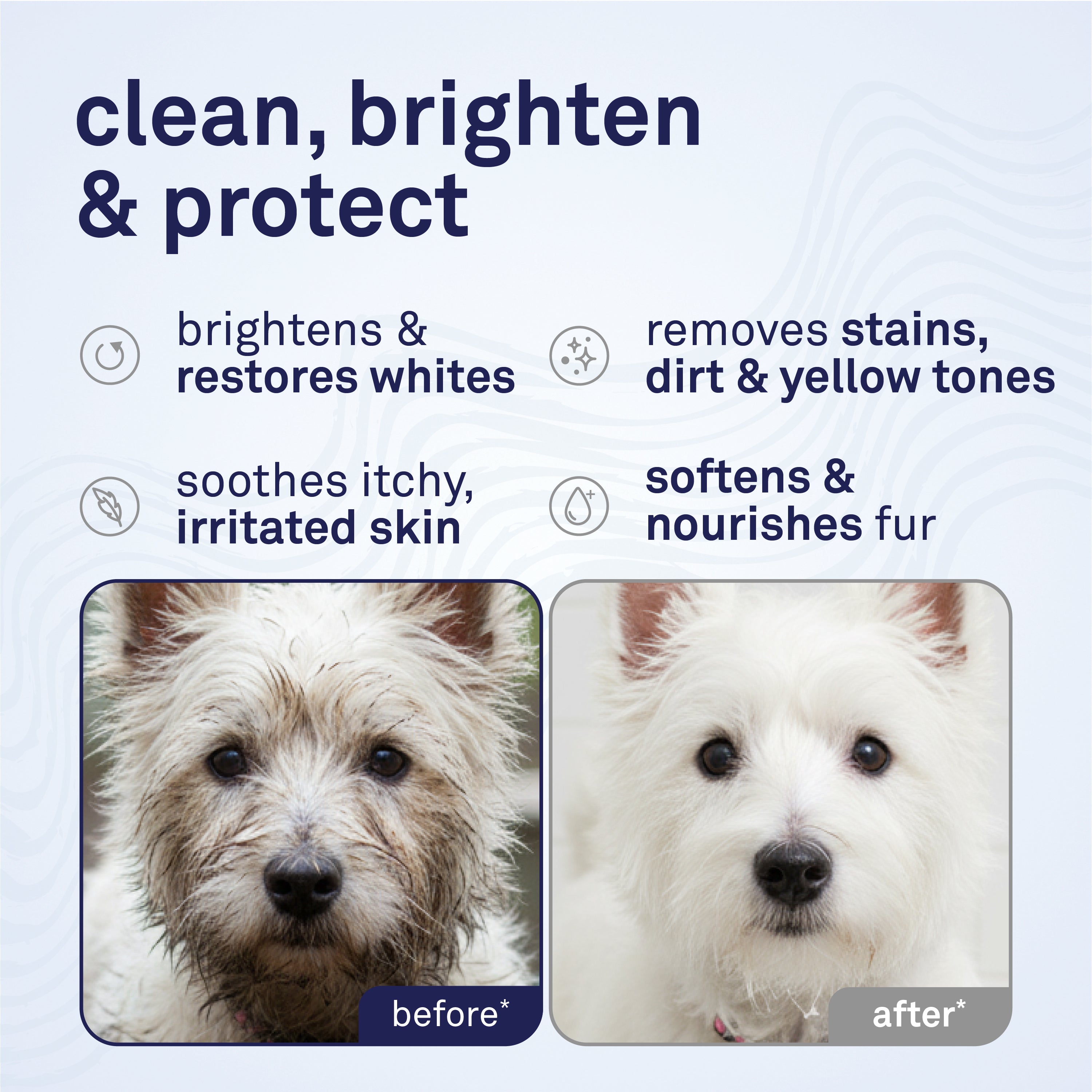 Petpost Dog Whitening Shampoo - Brightens White & Light-Colored Coats - Watermelon Scent for Maltese, Shih Tzu, Bichon Frise & Poodles