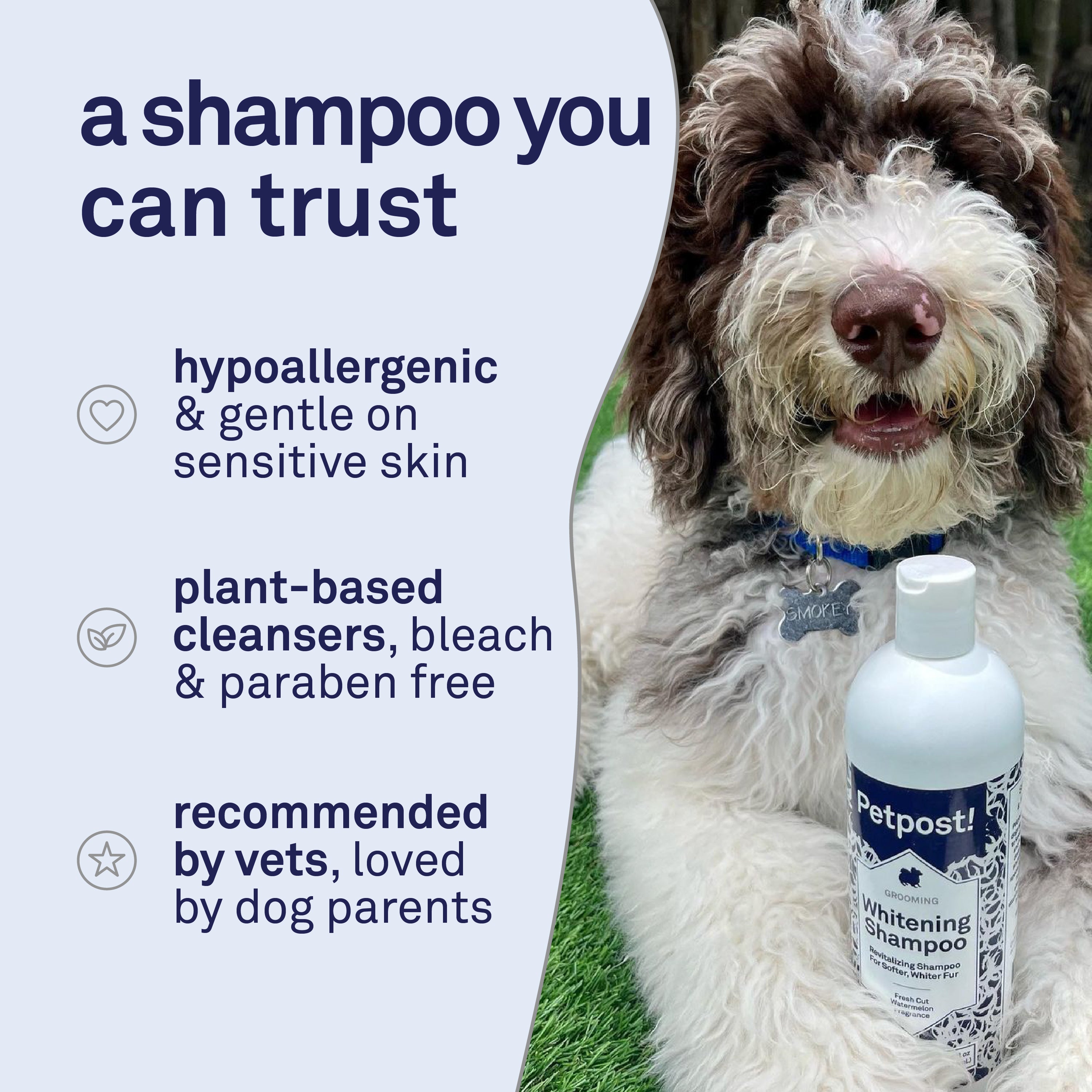 Petpost Dog Whitening Shampoo - Brightens White & Light-Colored Coats - Watermelon Scent for Maltese, Shih Tzu, Bichon Frise & Poodles