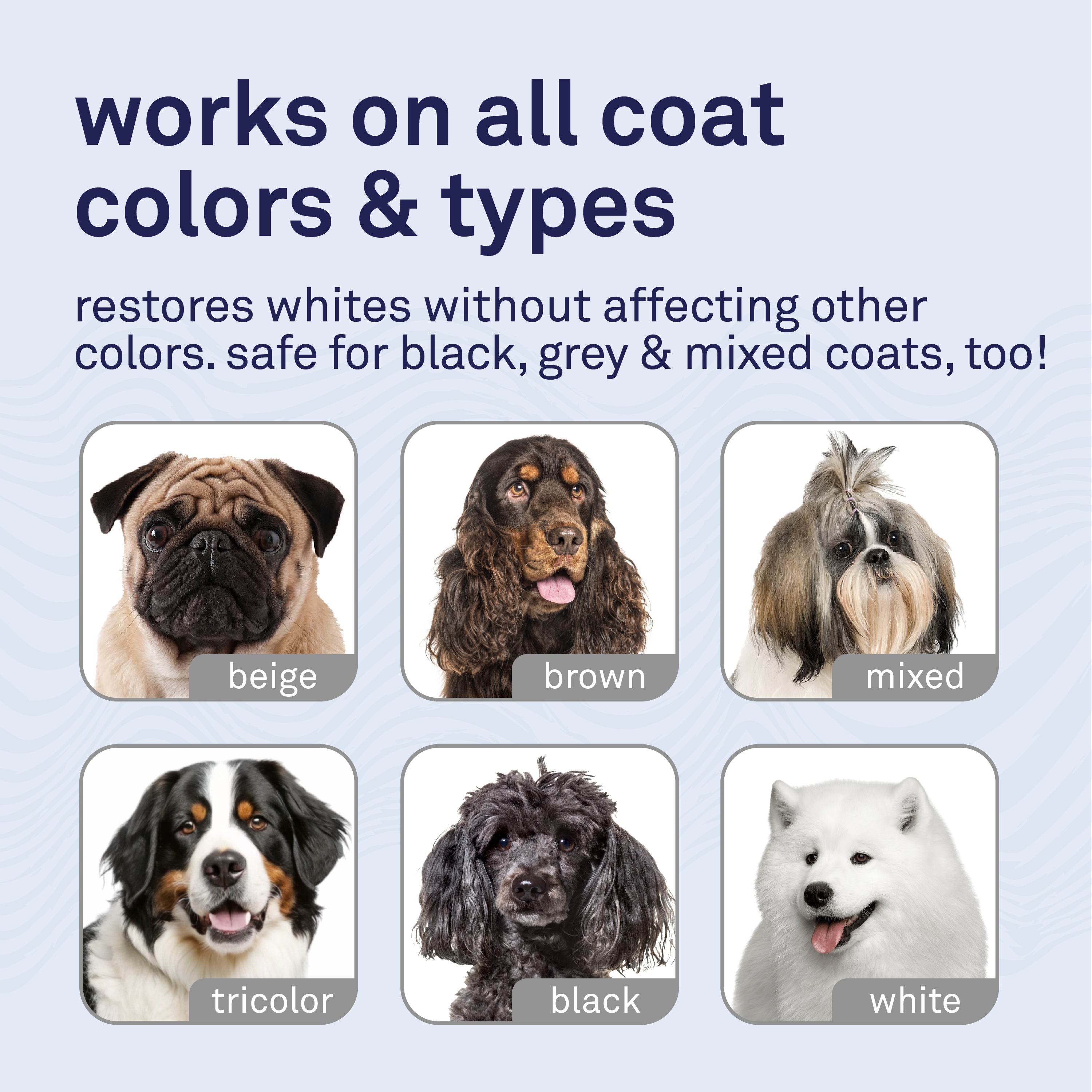Petpost Dog Whitening Shampoo - Brightens White & Light-Colored Coats - Watermelon Scent for Maltese, Shih Tzu, Bichon Frise & Poodles