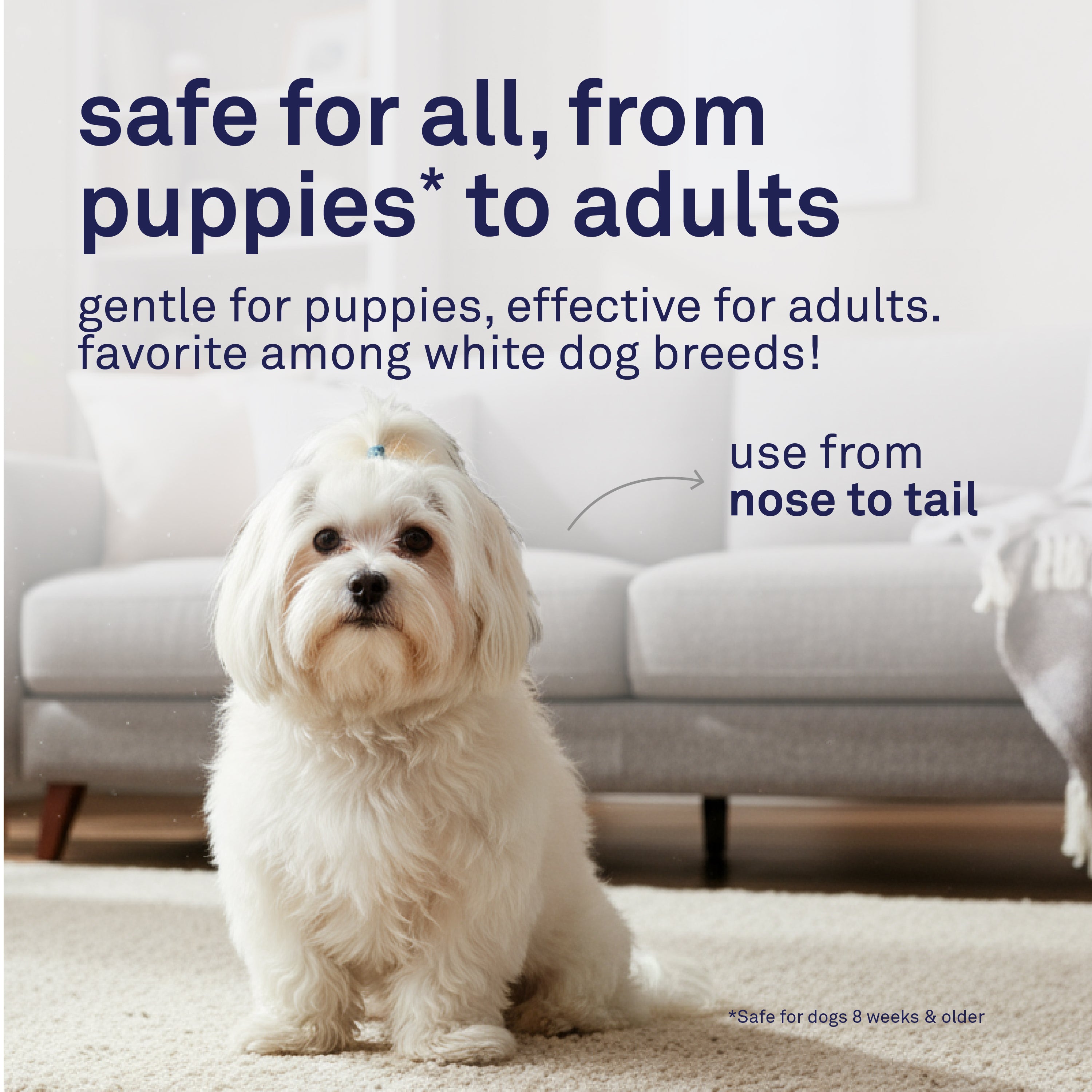 Petpost Dog Whitening Shampoo - Brightens White & Light-Colored Coats - Watermelon Scent for Maltese, Shih Tzu, Bichon Frise & Poodles