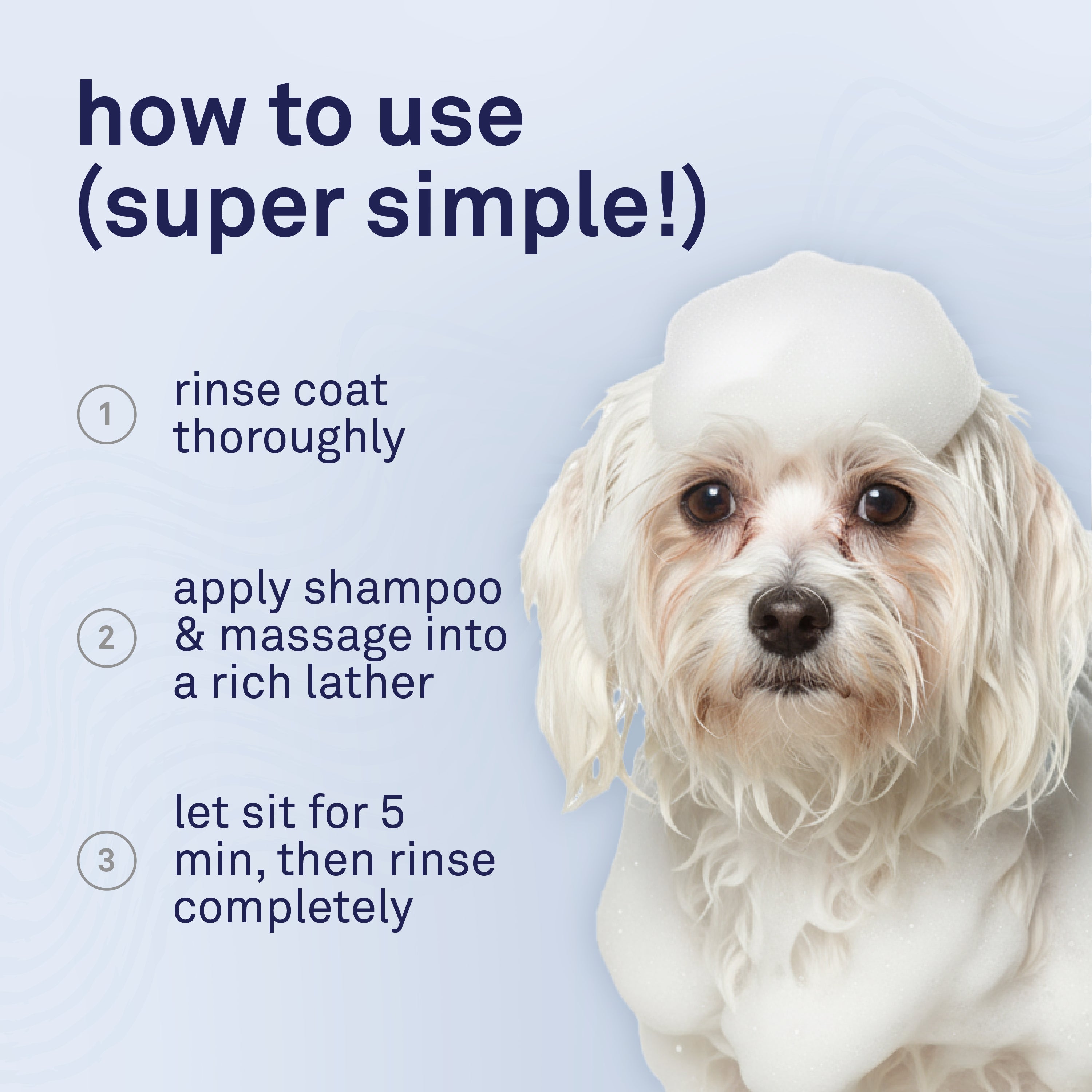 Petpost Dog Whitening Shampoo - Brightens White & Light-Colored Coats - Watermelon Scent for Maltese, Shih Tzu, Bichon Frise & Poodles