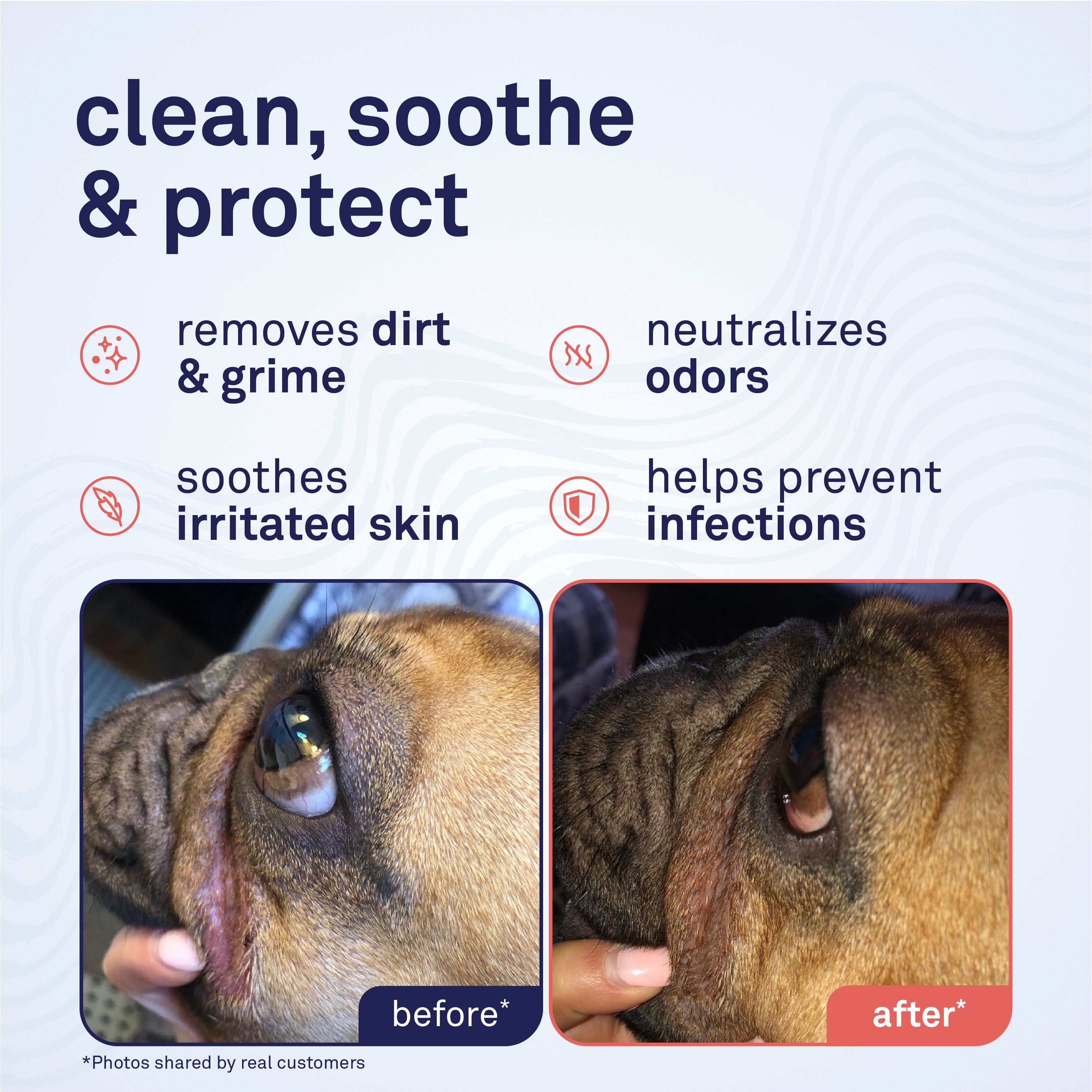 Petpost Bulldog Wrinkle Wipes - 100 Pre-Soaked Cotton Pads with Coconut Oil & Aloe - Gentle Cleanser for Pug, Bulldog & Wrinkly Breed Folds