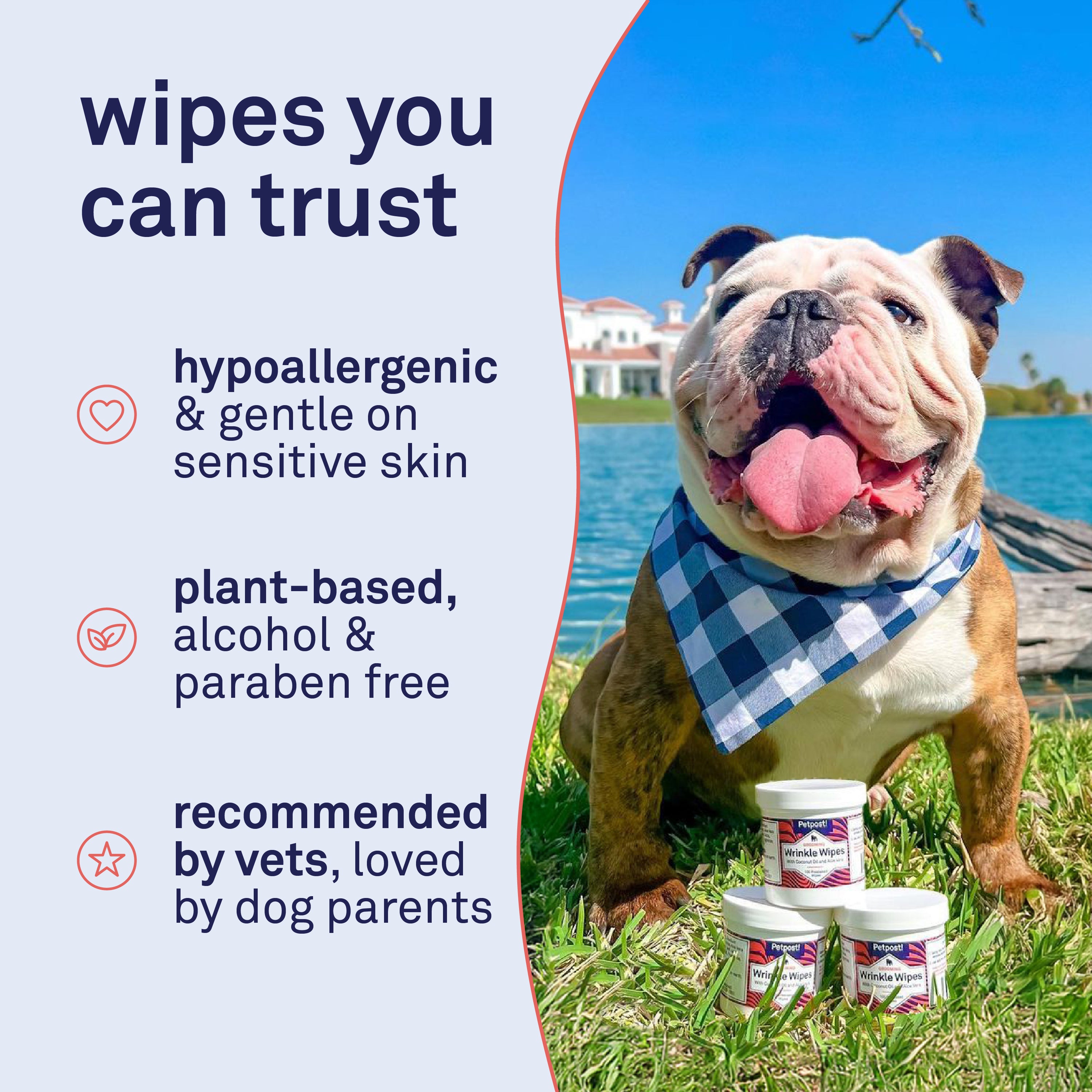 Petpost Bulldog Wrinkle Wipes - 100 Pre-Soaked Cotton Pads with Coconut Oil & Aloe - Gentle Cleanser for Pug, Bulldog & Wrinkly Breed Folds