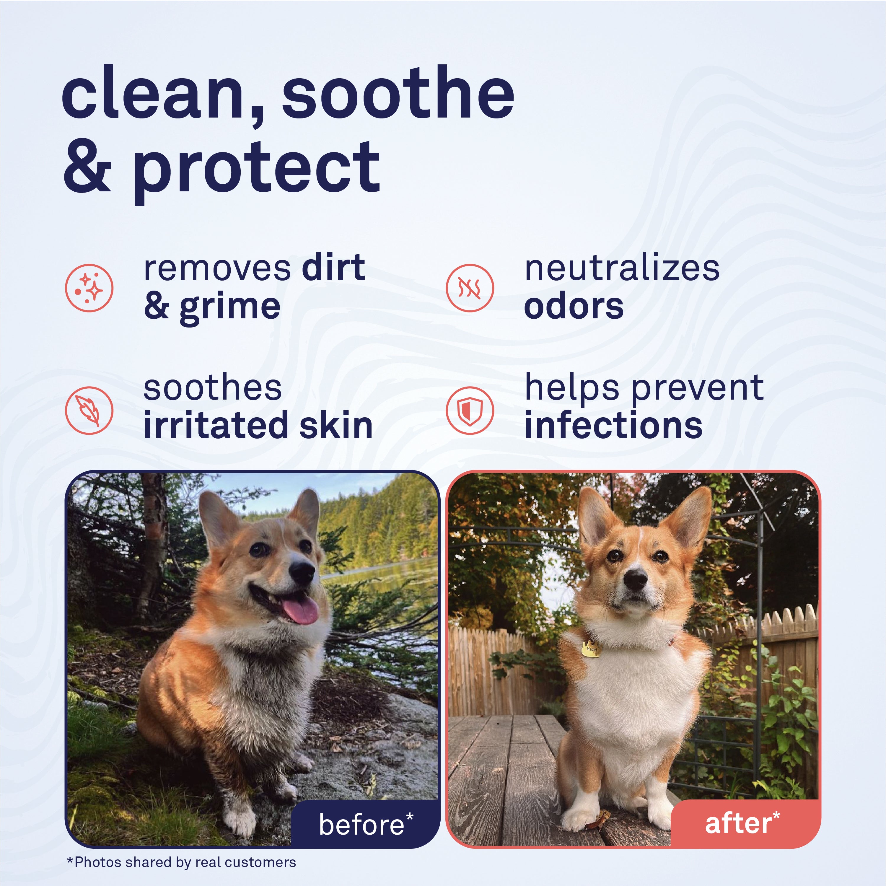Petpost Large Wrinkle Wipes for Dogs - 60 Count 5x7 Inch Cotton Pads with Coconut Oil & Aloe - Gentle Cleanser for Bulldog, Pug & Wrinkly Breed Folds