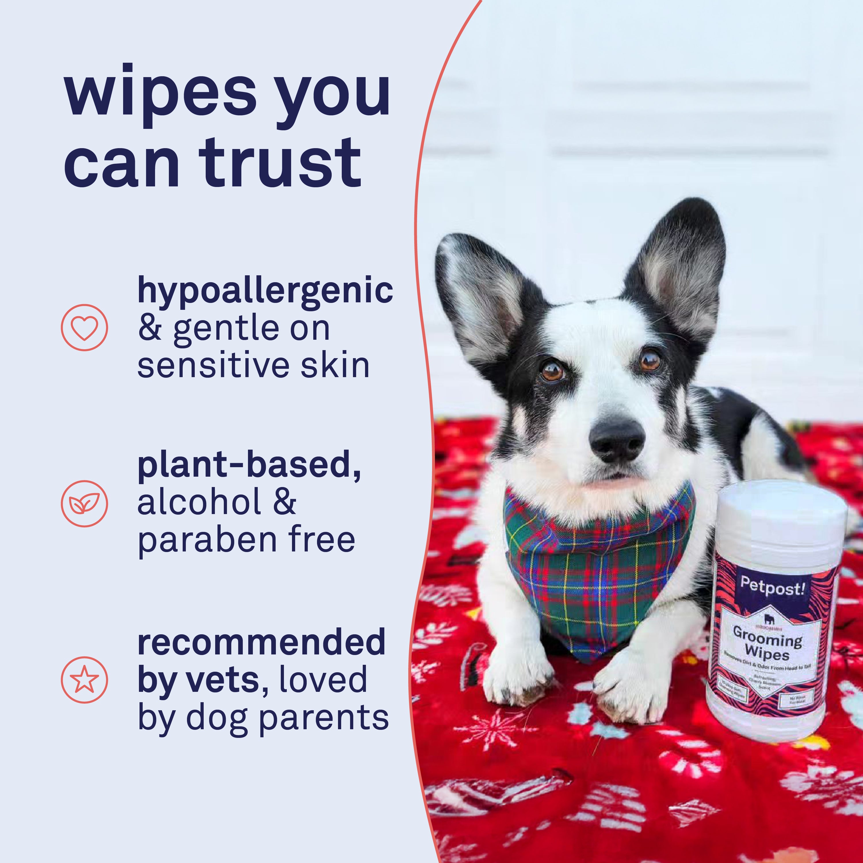 Petpost Large Wrinkle Wipes for Dogs - 60 Count 5x7 Inch Cotton Pads with Coconut Oil & Aloe - Gentle Cleanser for Bulldog, Pug & Wrinkly Breed Folds