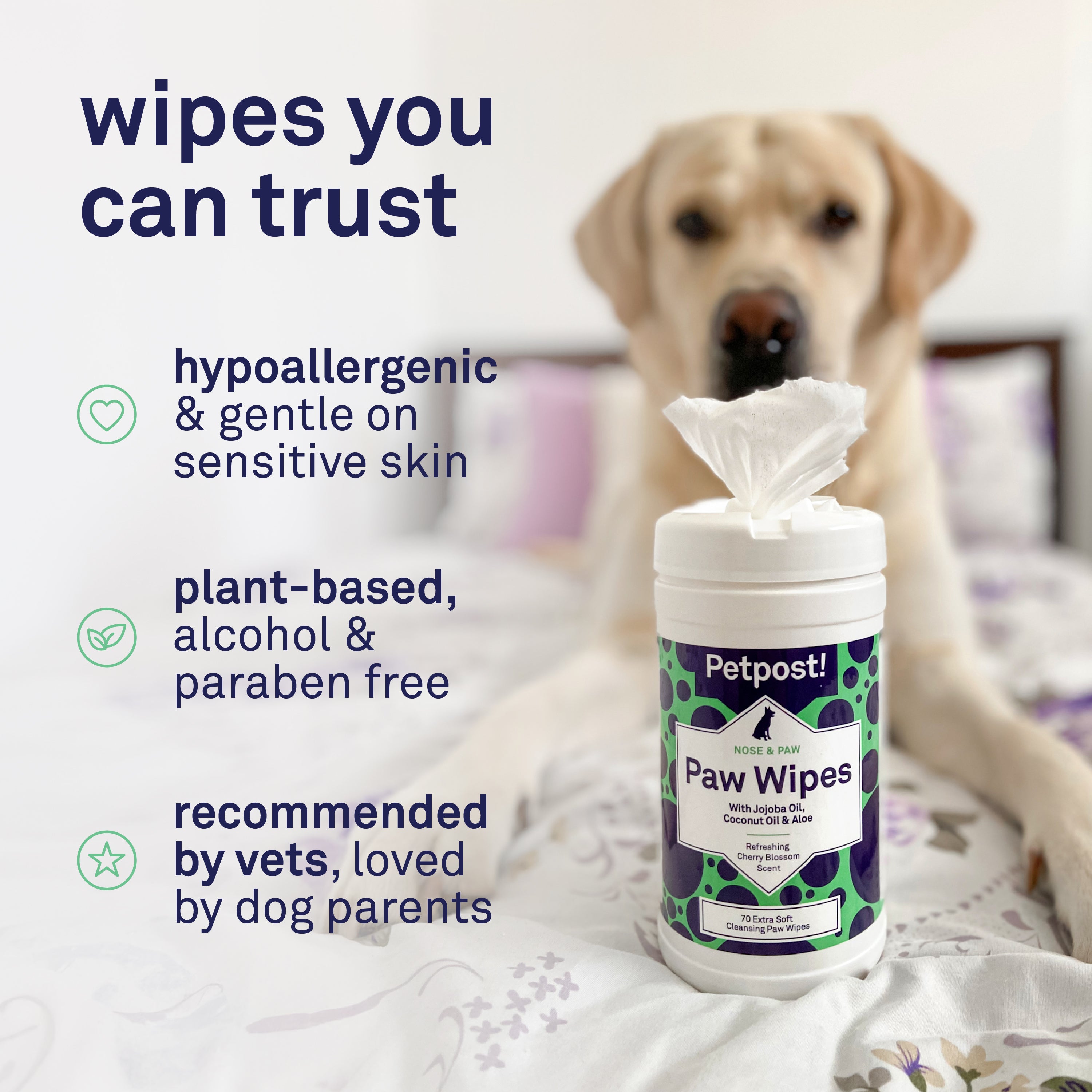 Petpost Large Paw Wipes for Dogs - 70 Count Cotton Pads with Coconut Oil, Jojoba Oil & Aloe - Cherry Blossom Scent - Soothes Dry, Cracked, Itchy Paws
