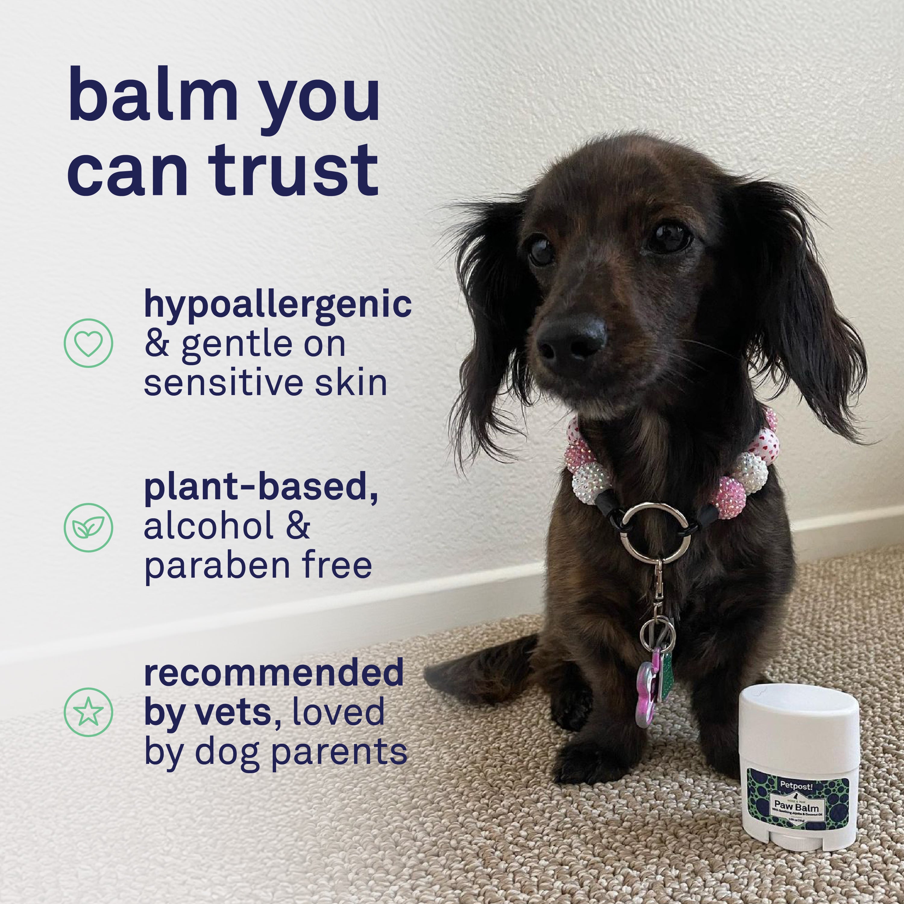 Petpost Paw Balm for Dogs - Organic Coconut Oil, Jojoba & Shea Butter - Soothes Dry, Cracked, Itchy Paws - Natural Moisturizing Cream for Rough Pads