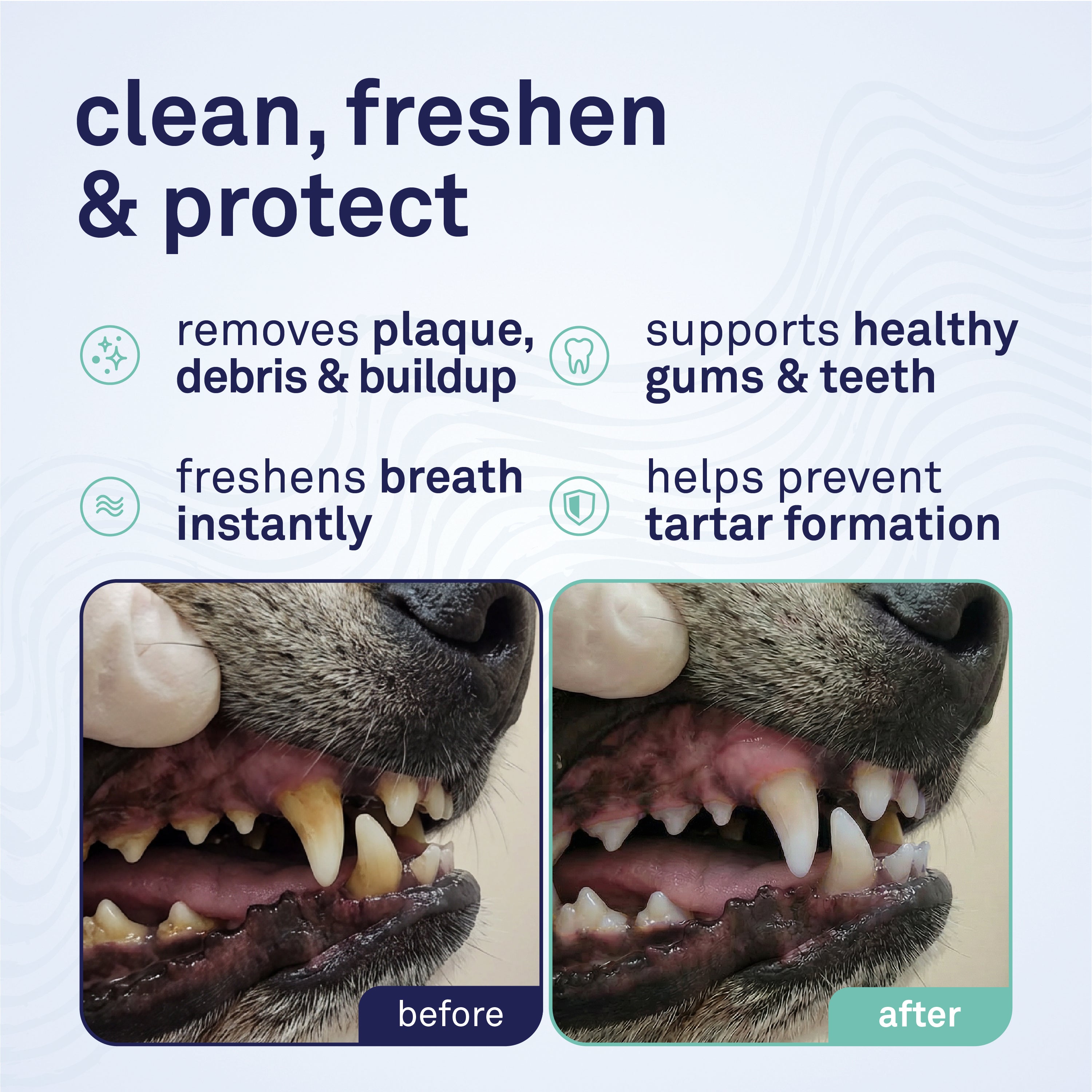 Petpost Dental Wipes for Dogs - 100 Pre-Soaked Cotton Pads with Mint & Apple Flavor - Natural Bad Breath Remover & Tooth Cleaning Solution