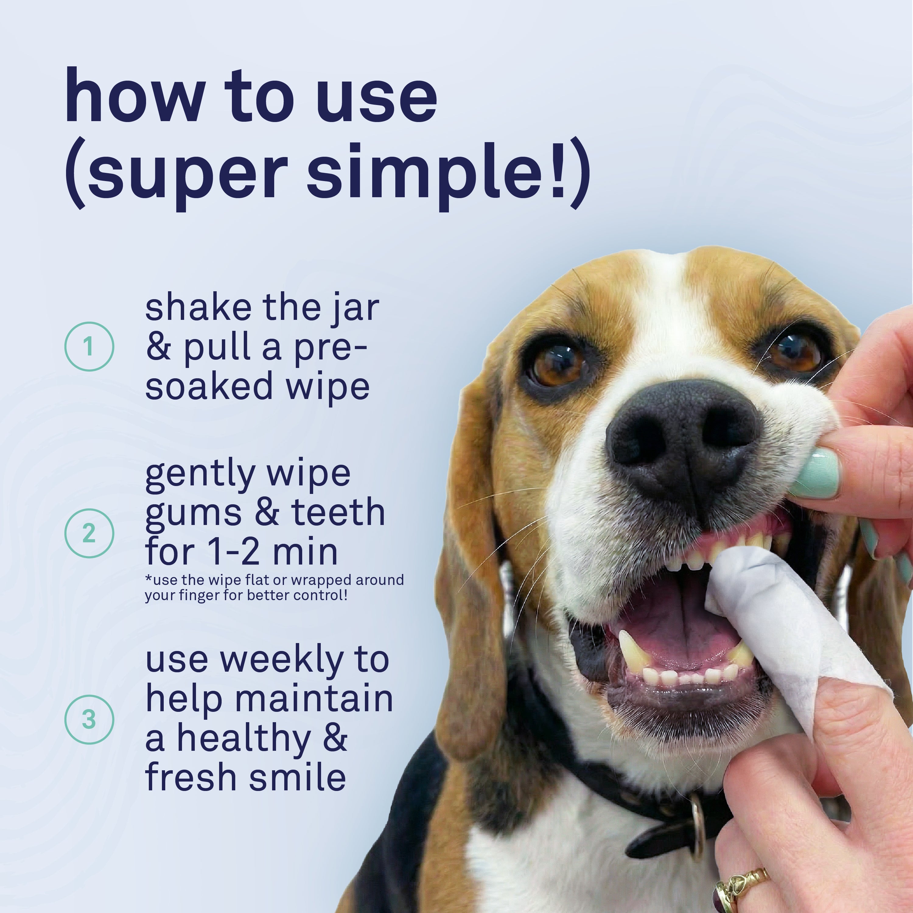 Petpost Dental Wipes for Dogs - 100 Pre-Soaked Cotton Pads with Mint & Apple Flavor - Natural Bad Breath Remover & Tooth Cleaning Solution