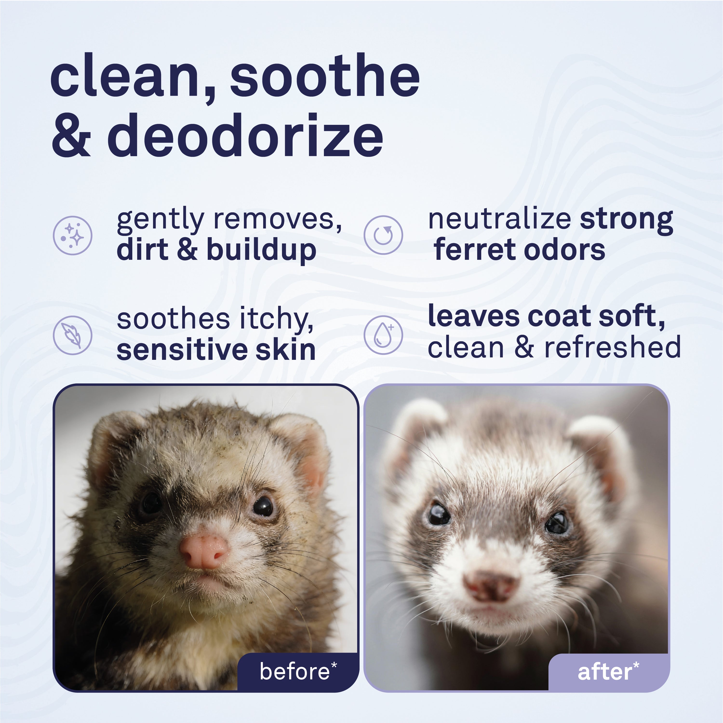Petpost Ferret Shampoo - Natural Deodorizing Formula for Ferrets & Small Animals - Safflower Oil Cleanses Without Drying Skin - 8 oz