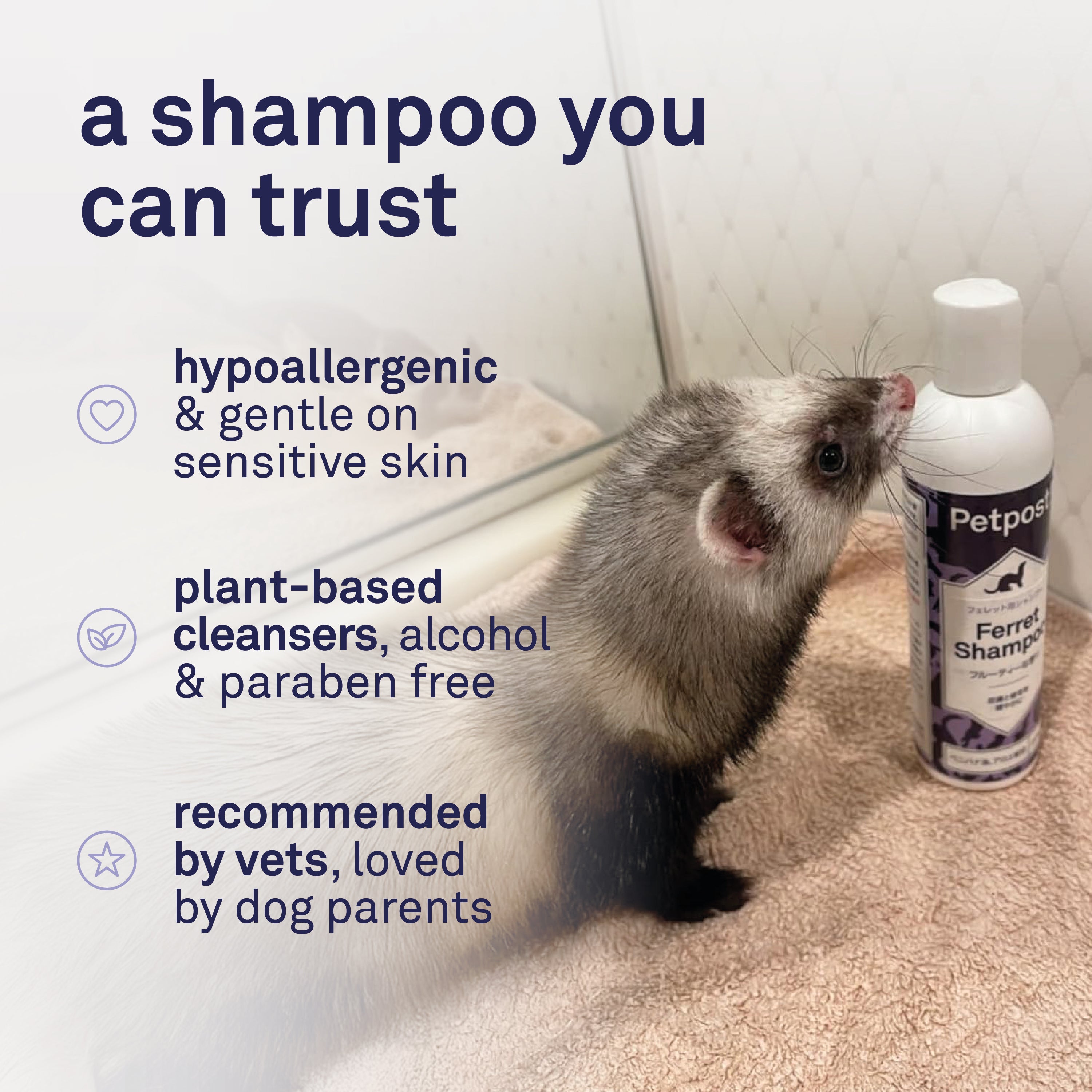 Petpost Ferret Shampoo - Natural Deodorizing Formula for Ferrets & Small Animals - Safflower Oil Cleanses Without Drying Skin - 8 oz