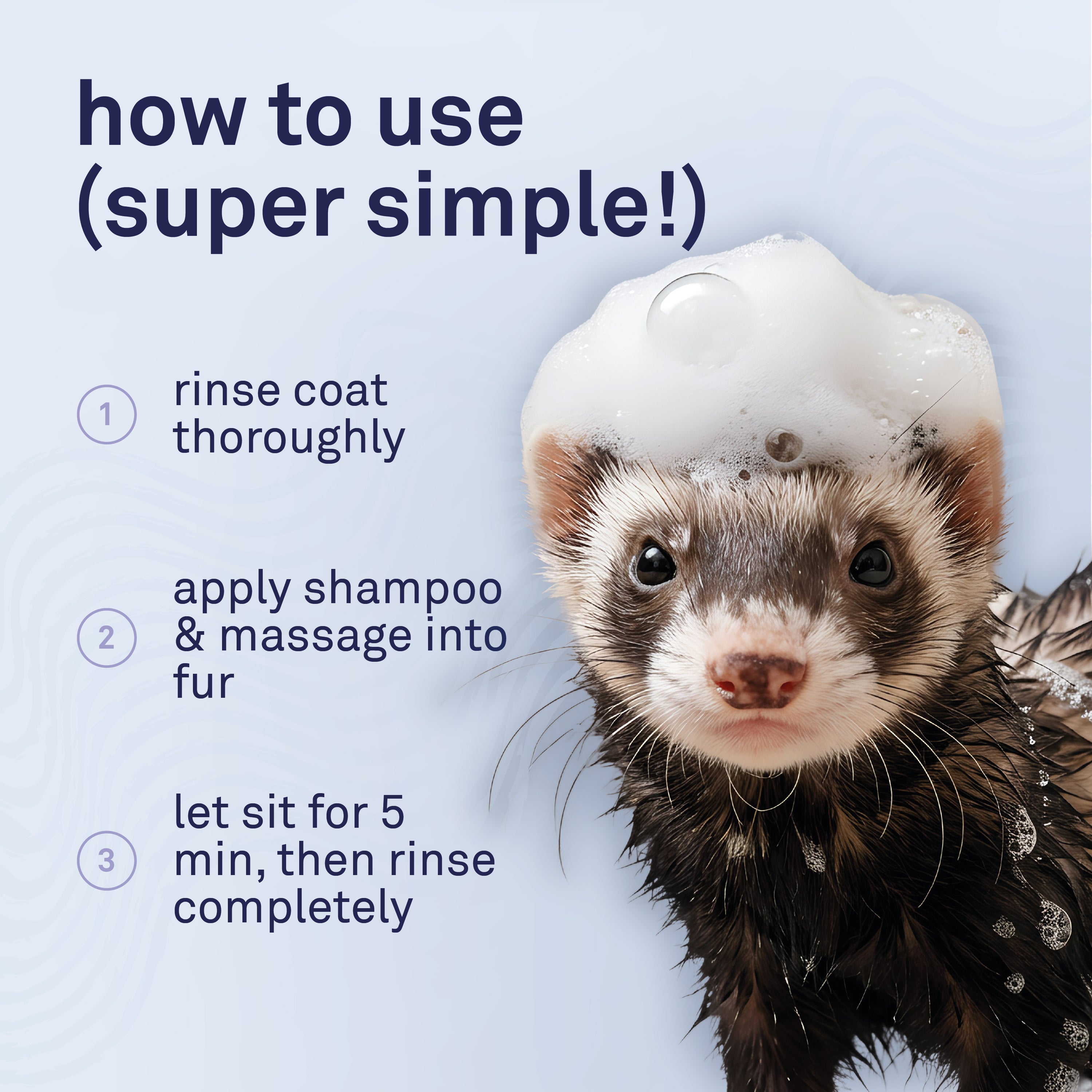 Petpost Ferret Shampoo - Natural Deodorizing Formula for Ferrets & Small Animals - Safflower Oil Cleanses Without Drying Skin - 8 oz