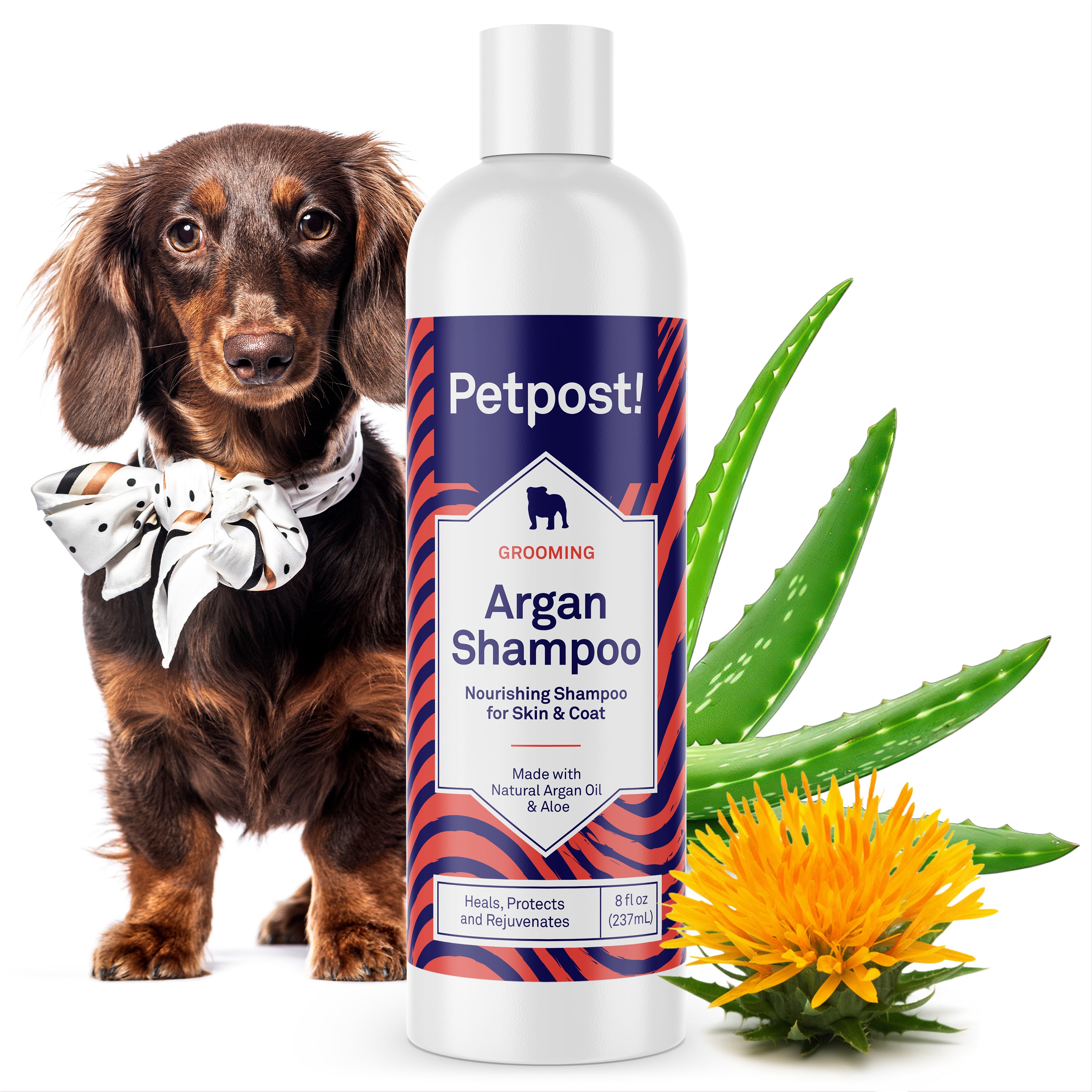 Petpost Argan Oil Shampoo for Dogs - Naturally Nourishing Formula for Dry Skin & Dull Coats - With Aloe & Safflower Oil - Adds Shine & Softness