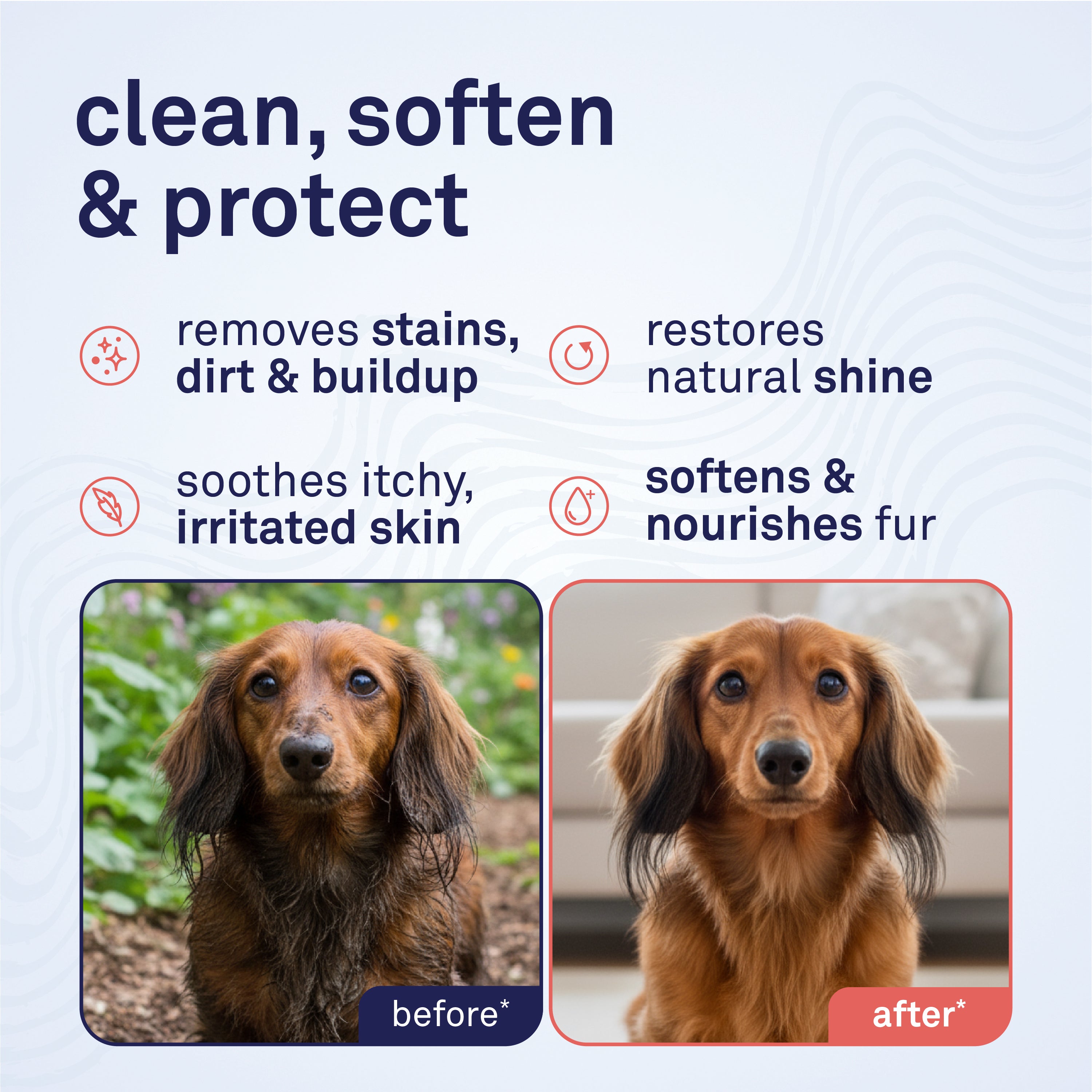 Petpost Argan Oil Shampoo for Dogs - Naturally Nourishing Formula for Dry Skin & Dull Coats - With Aloe & Safflower Oil - Adds Shine & Softness