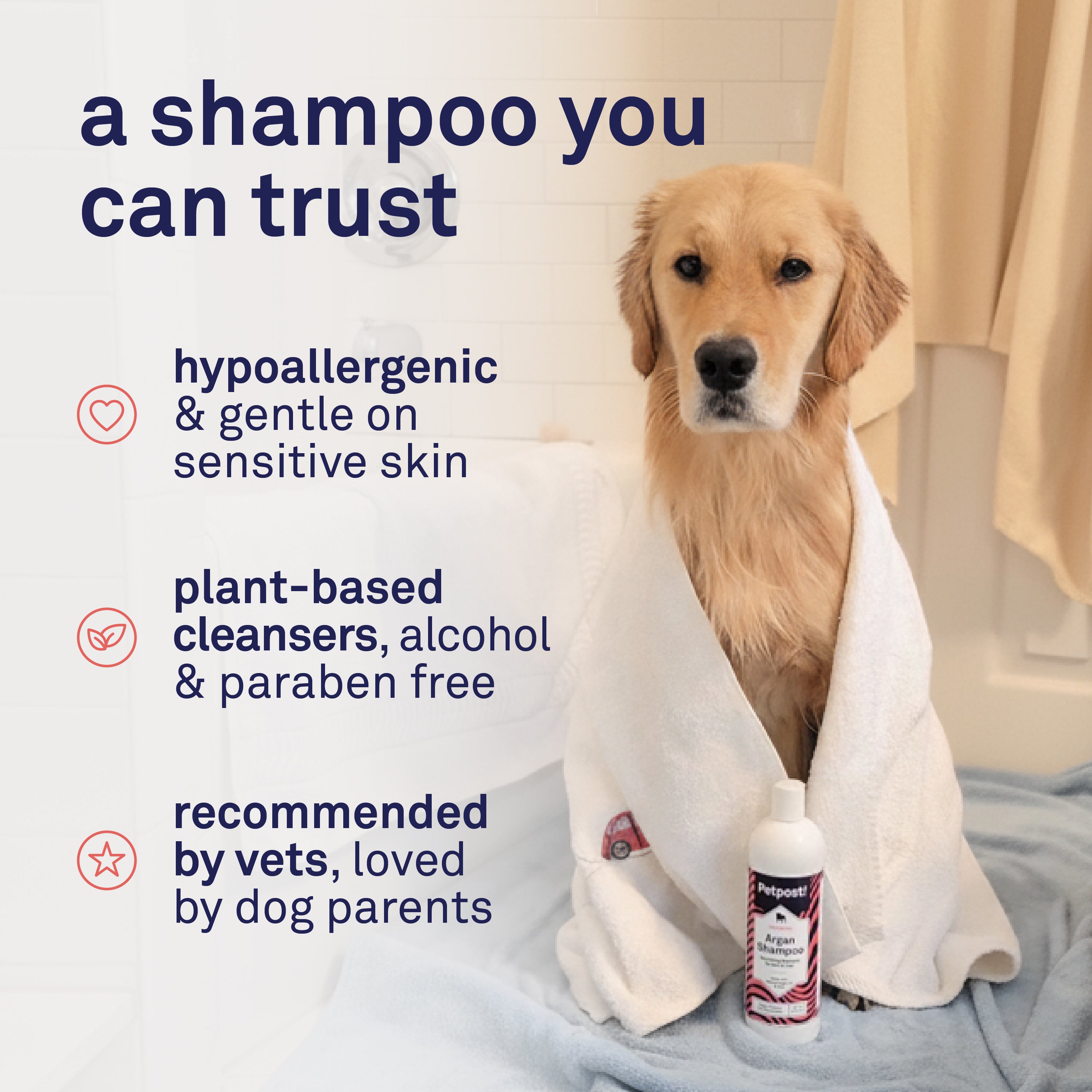 Petpost Argan Oil Shampoo for Dogs - Naturally Nourishing Formula for Dry Skin & Dull Coats - With Aloe & Safflower Oil - Adds Shine & Softness