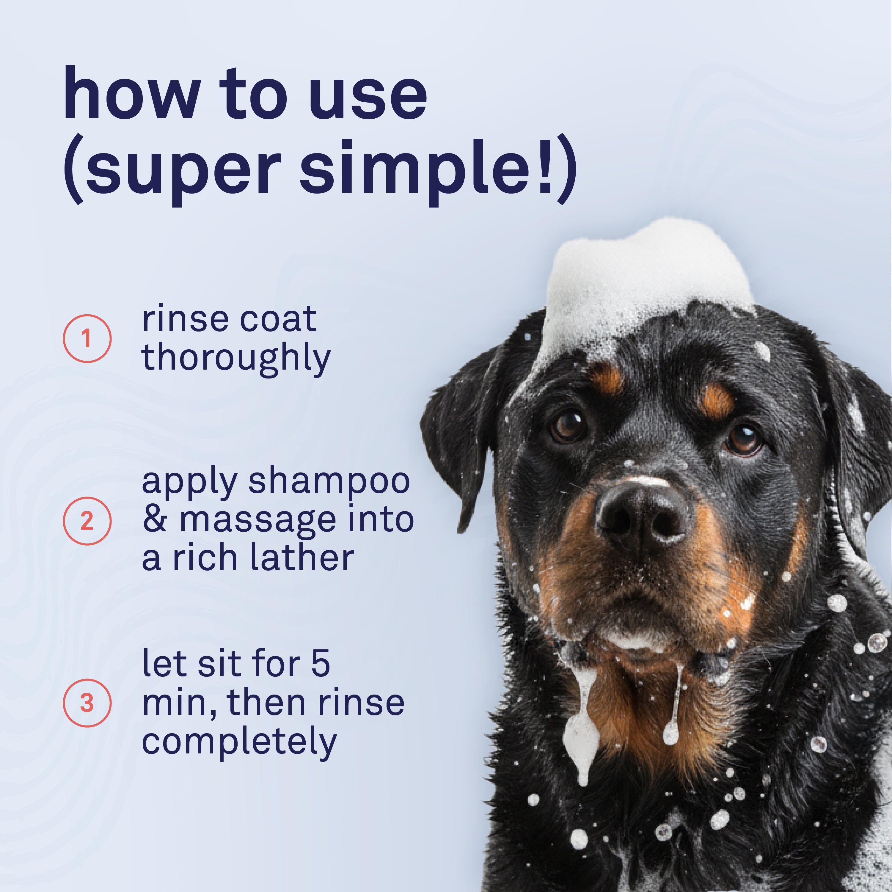Petpost Argan Oil Shampoo for Dogs - Naturally Nourishing Formula for Dry Skin & Dull Coats - With Aloe & Safflower Oil - Adds Shine & Softness