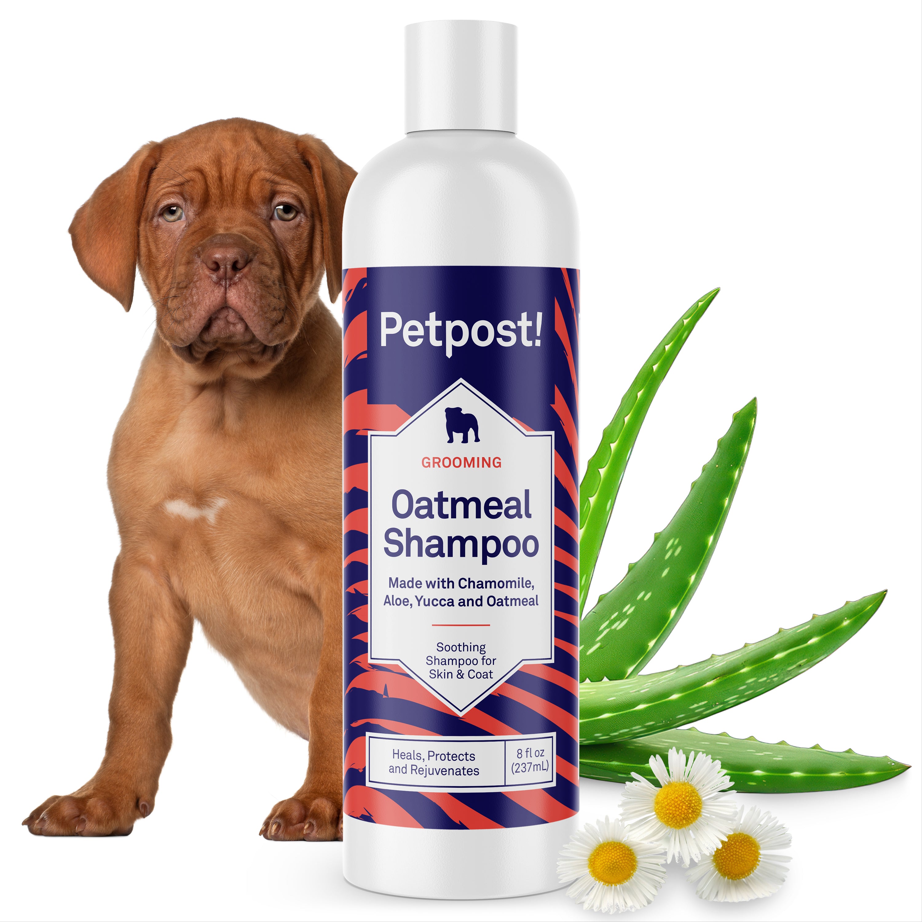 Petpost Oatmeal & Chamomile Shampoo for Dogs - Soothes Dry, Itchy, Sensitive Skin - Naturally Healing Formula with Aloe & Yucca