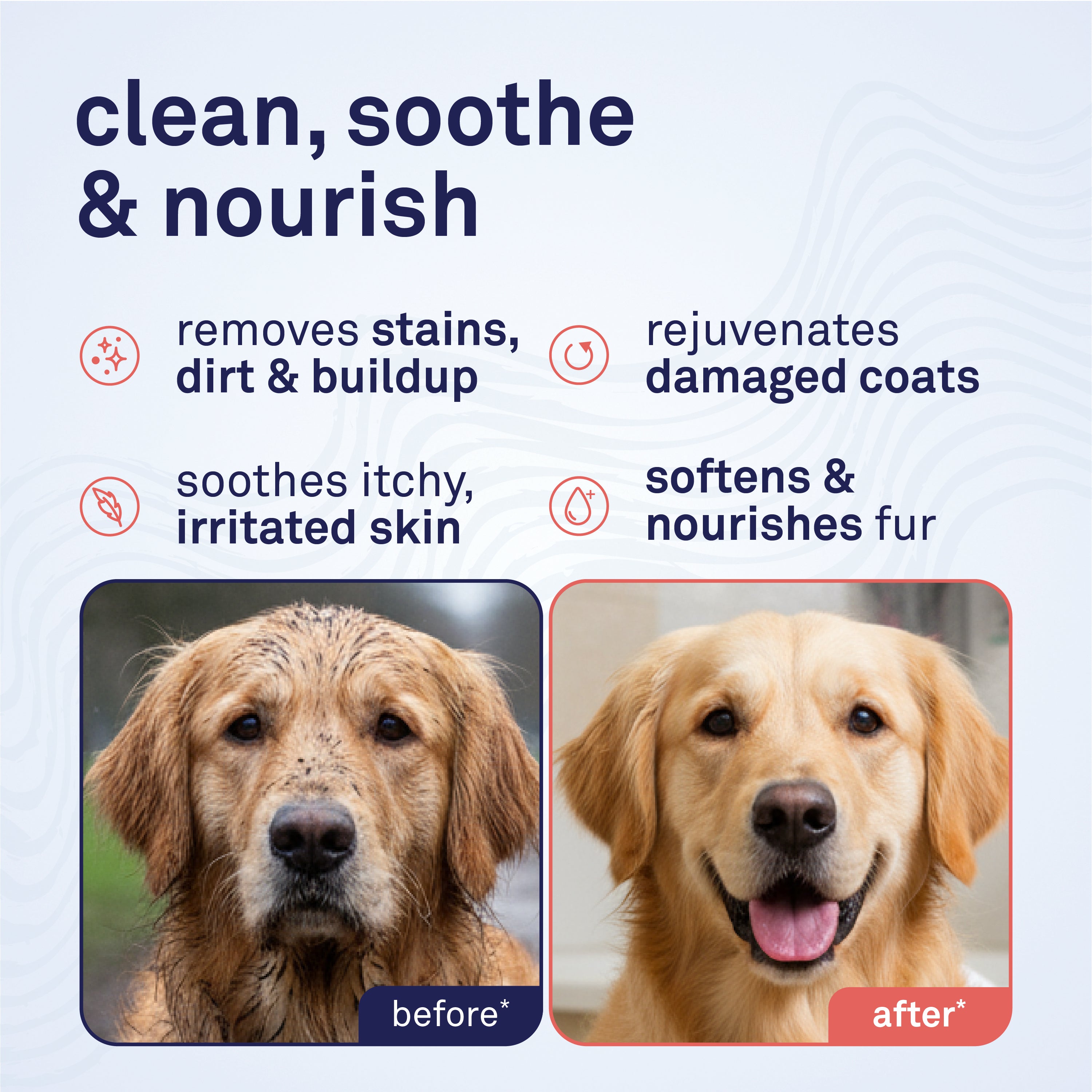 Petpost Oatmeal & Chamomile Shampoo for Dogs - Soothes Dry, Itchy, Sensitive Skin - Naturally Healing Formula with Aloe & Yucca