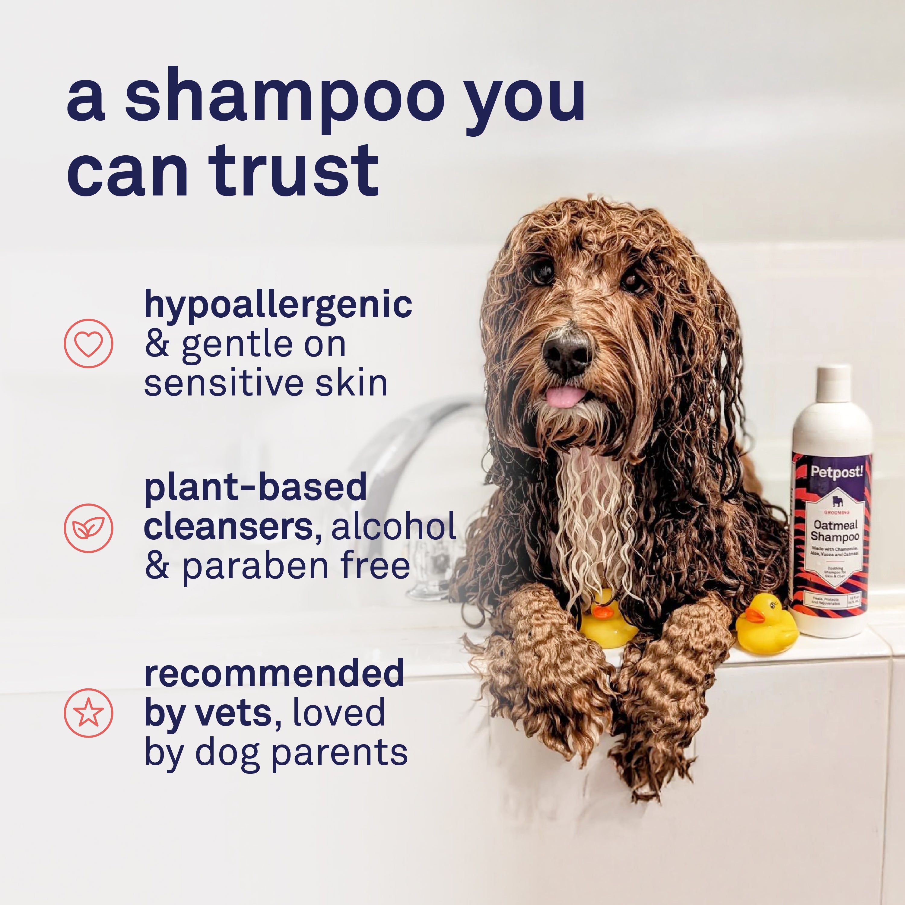 Petpost Oatmeal & Chamomile Shampoo for Dogs - Soothes Dry, Itchy, Sensitive Skin - Naturally Healing Formula with Aloe & Yucca