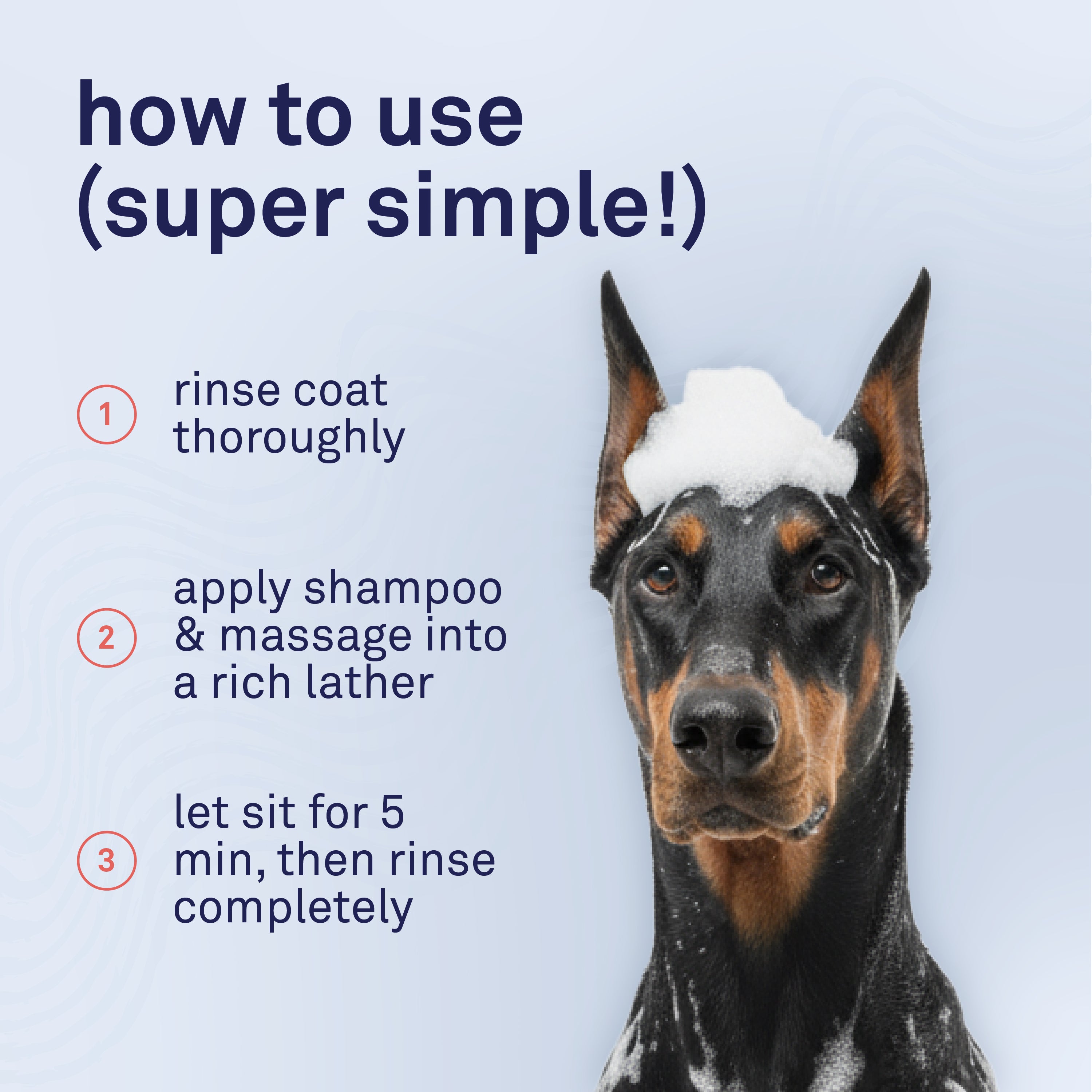 Petpost Oatmeal & Chamomile Shampoo for Dogs - Soothes Dry, Itchy, Sensitive Skin - Naturally Healing Formula with Aloe & Yucca