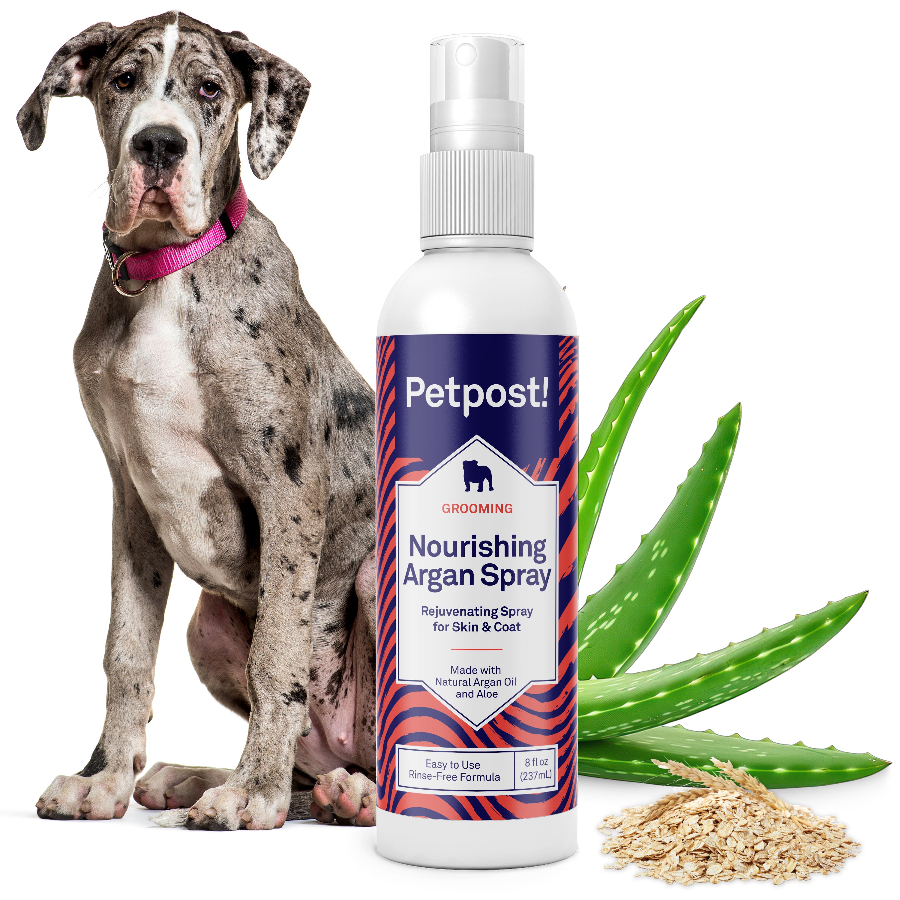 Petpost Waterless Argan Shampoo Spray for Dogs - No-Rinse Coat Cleaner with Argan Oil & Aloe - Naturally Deodorizes Sensitive Skin, Adds Shine - 8 oz