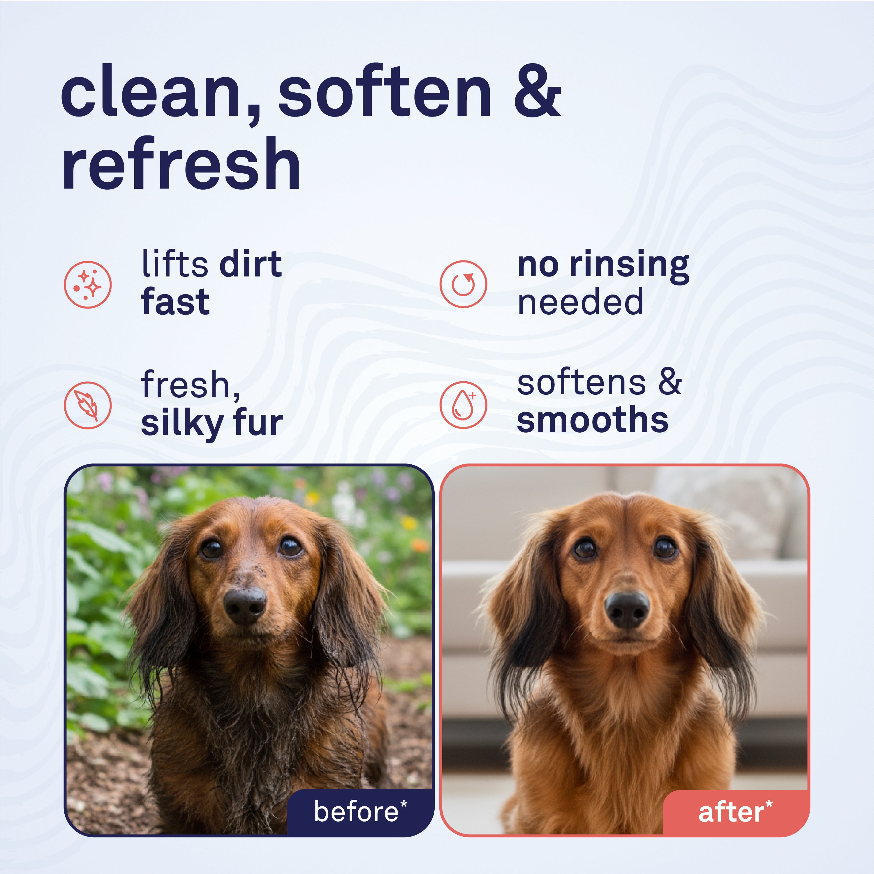 Petpost Waterless Argan Shampoo Spray for Dogs - No-Rinse Coat Cleaner with Argan Oil & Aloe - Naturally Deodorizes Sensitive Skin, Adds Shine - 8 oz