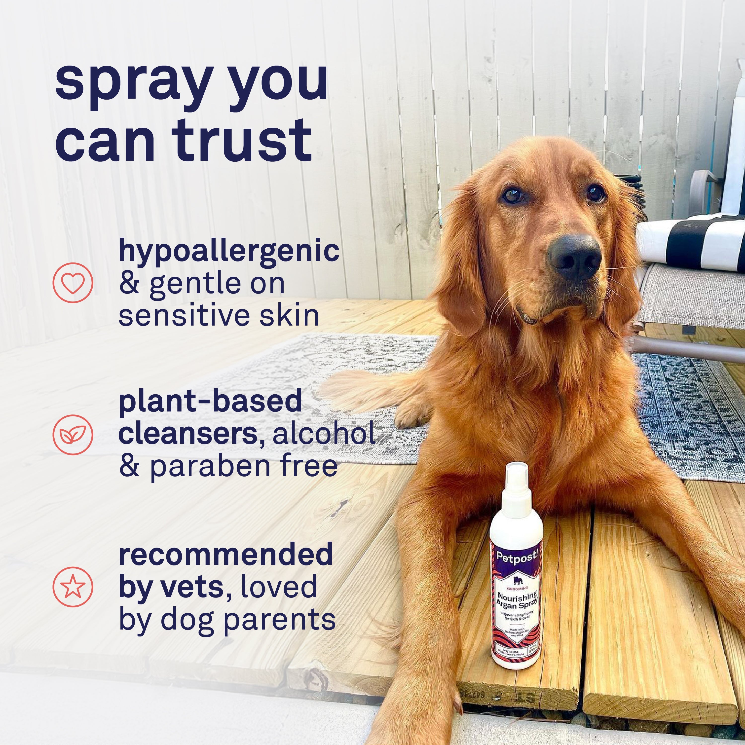 Petpost Waterless Argan Shampoo Spray for Dogs - No-Rinse Coat Cleaner with Argan Oil & Aloe - Naturally Deodorizes Sensitive Skin, Adds Shine - 8 oz