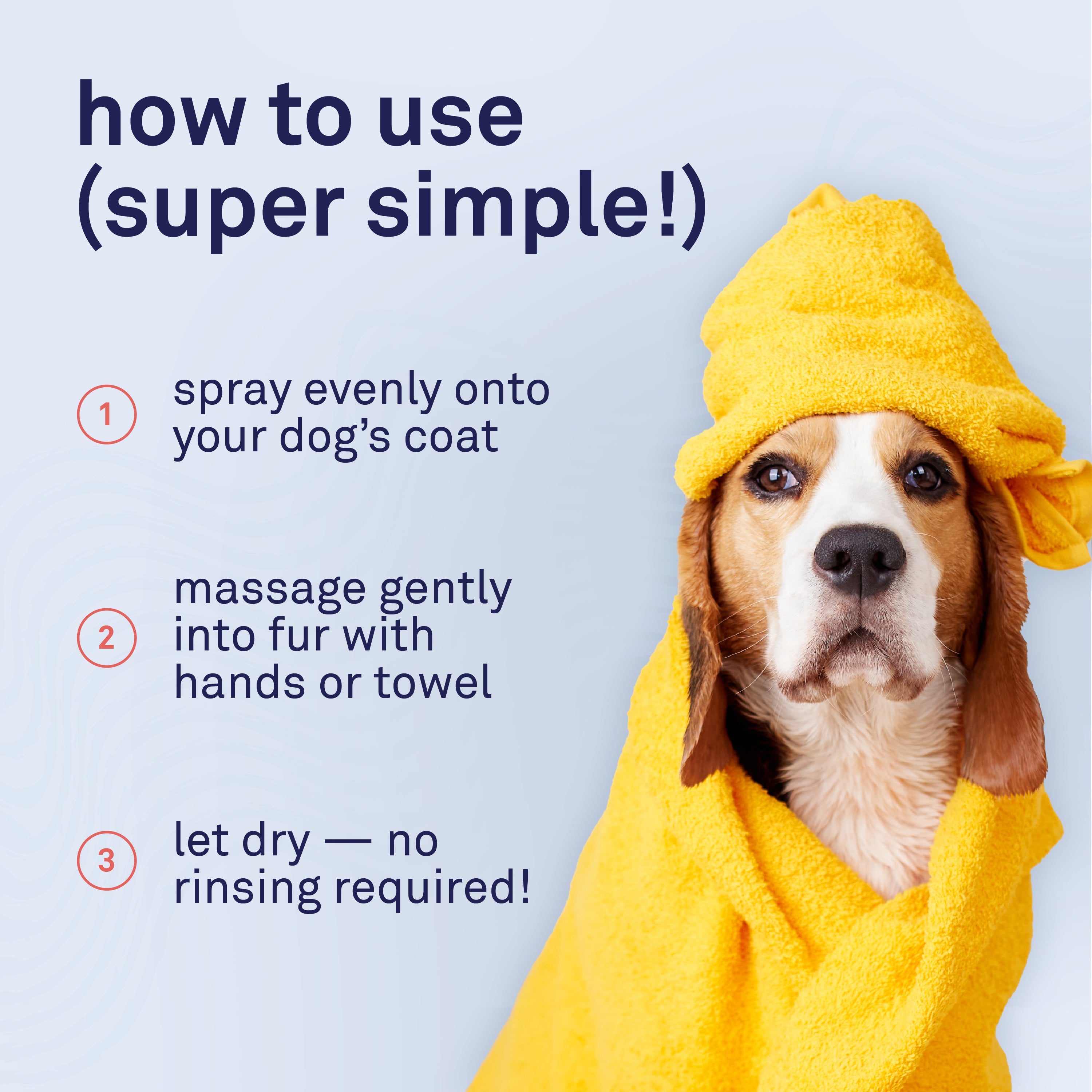 Petpost Waterless Argan Shampoo Spray for Dogs - No-Rinse Coat Cleaner with Argan Oil & Aloe - Naturally Deodorizes Sensitive Skin, Adds Shine - 8 oz