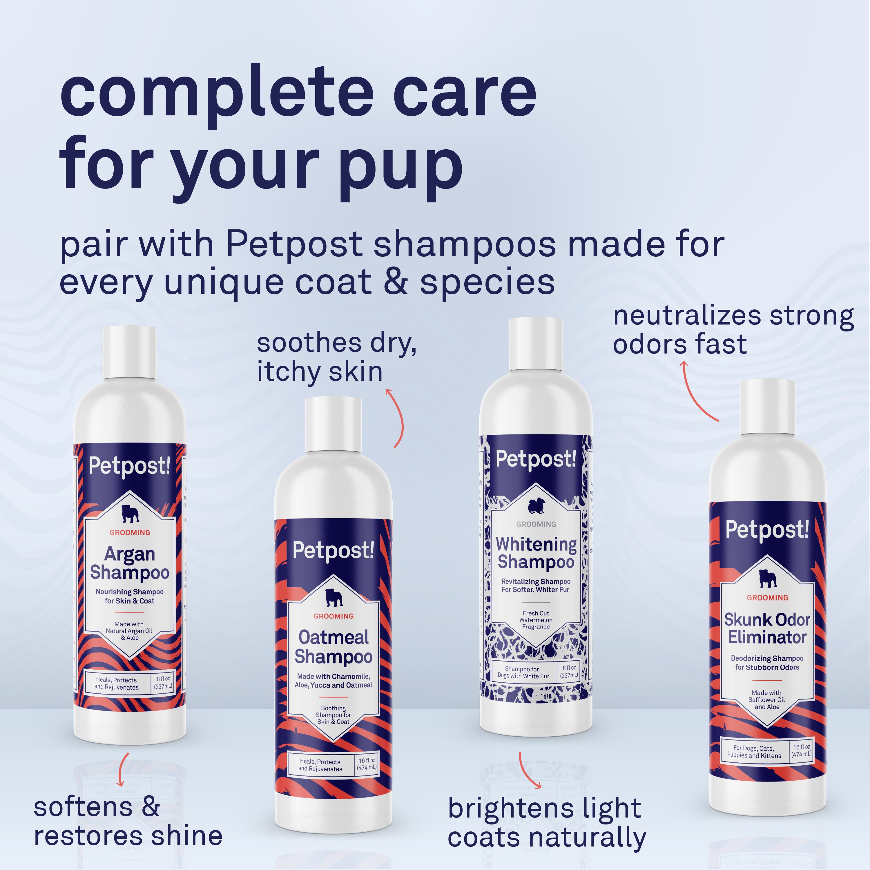 Petpost Waterless Argan Shampoo Spray for Dogs - No-Rinse Coat Cleaner with Argan Oil & Aloe - Naturally Deodorizes Sensitive Skin, Adds Shine - 8 oz