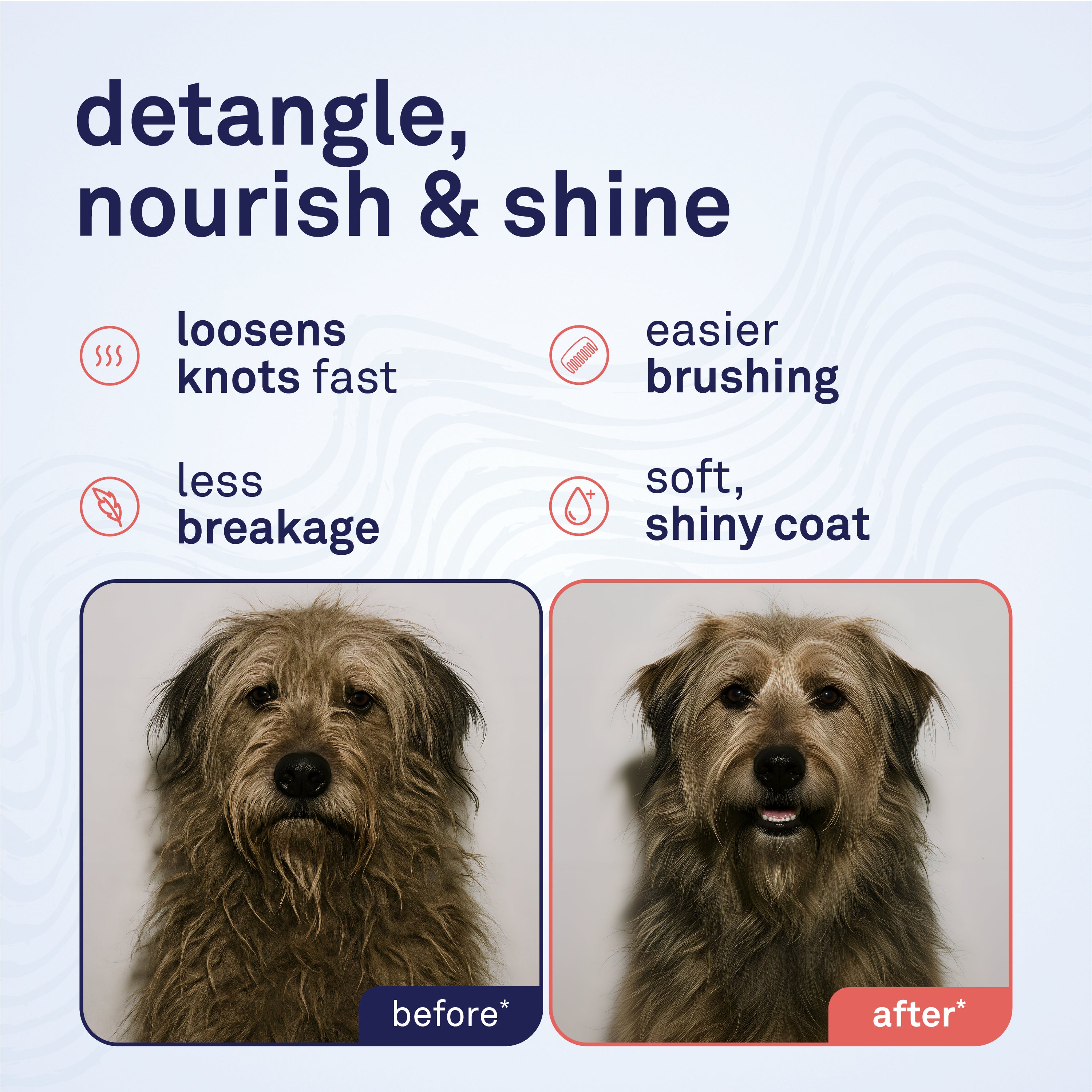 Petpost Detangling Spray for Dogs - Naturally Rejuvenating Hair Detangler with Oatmeal, Aloe & Vitamin E - Removes Knots, Mats & Tangles - 8 oz