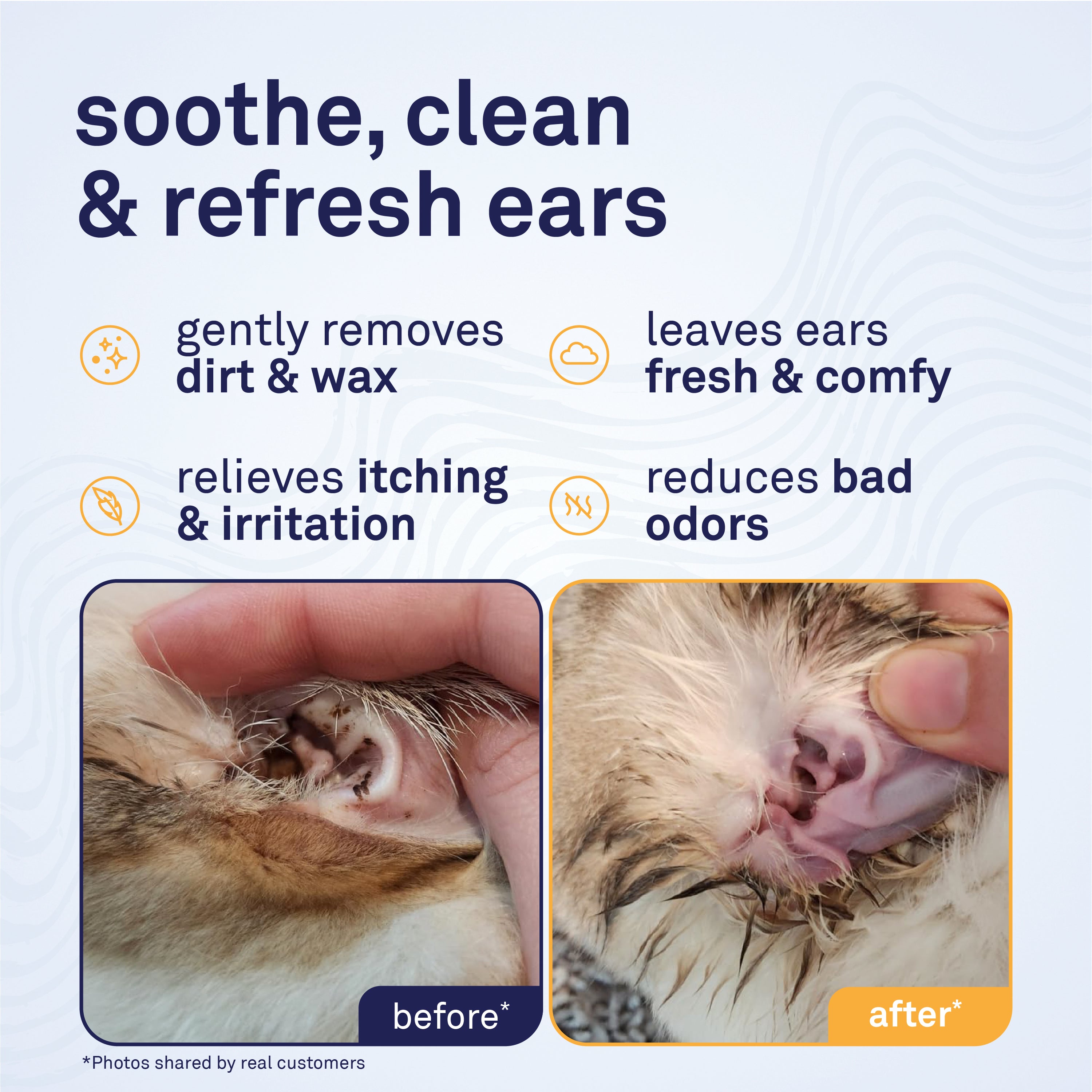 Petpost Cat Ear Wipes - 100 Soft Cotton Pads with Coconut Oil & Aloe - Non-Stinging, Alcohol-Free - Gentle Daily Ear Cleaning for Cats & Kittens