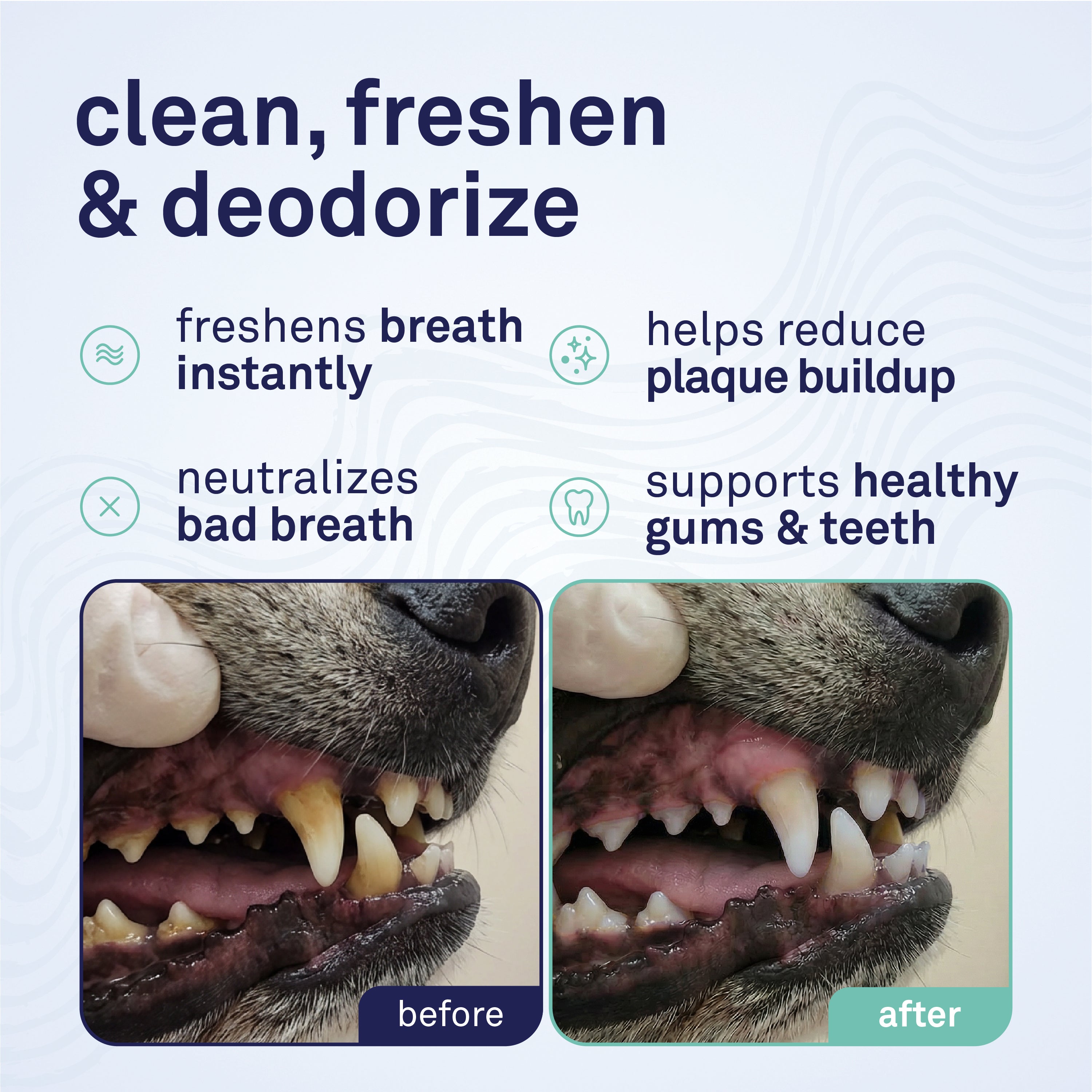 Petpost Fresh Breath Foam for Dogs - Mint & Apple Flavored Dental Foam - Natural Breath Freshener & Plaque Remover - No-Brush Tooth Cleaning Solution