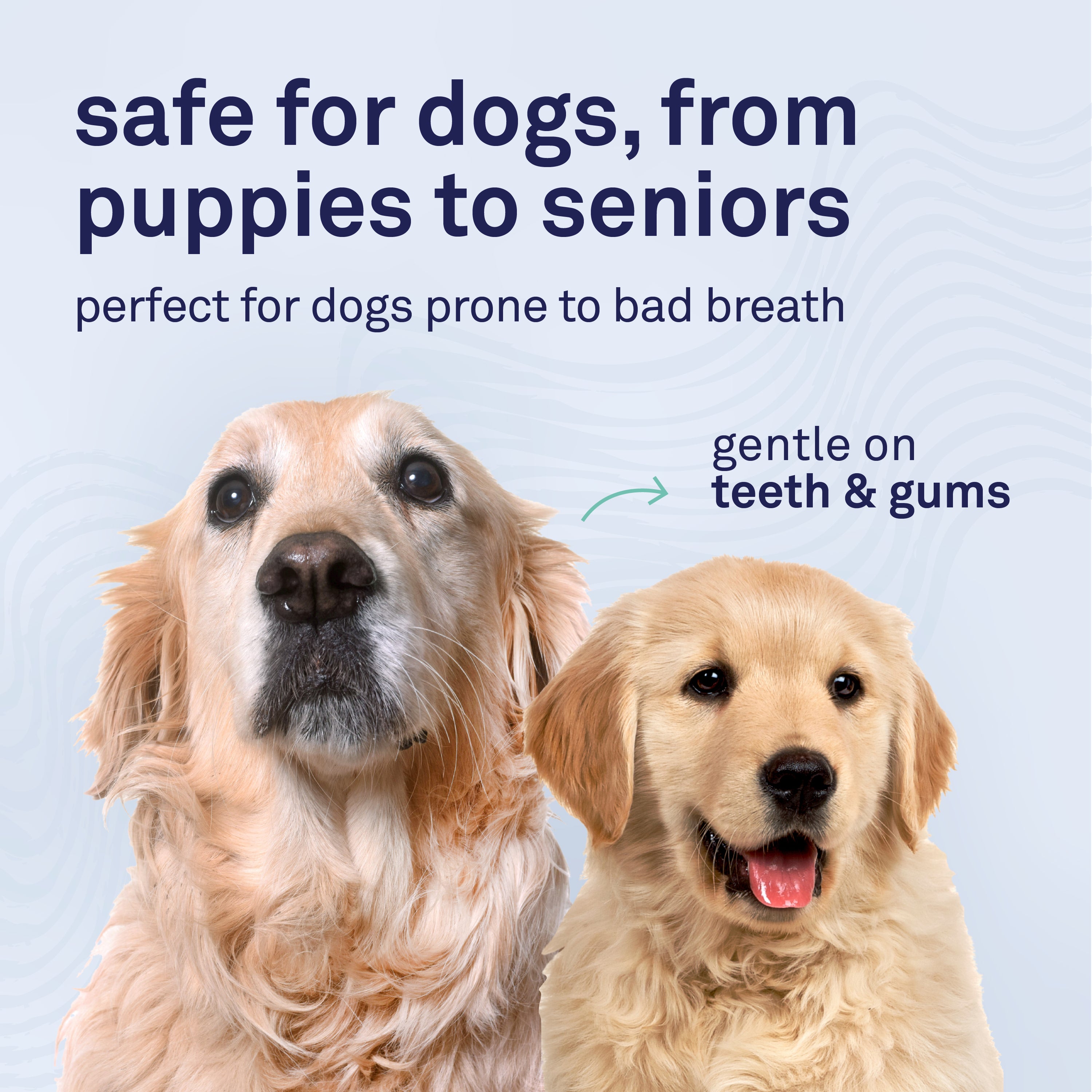 Petpost Fresh Breath Foam for Dogs - Mint & Apple Flavored Dental Foam - Natural Breath Freshener & Plaque Remover - No-Brush Tooth Cleaning Solution
