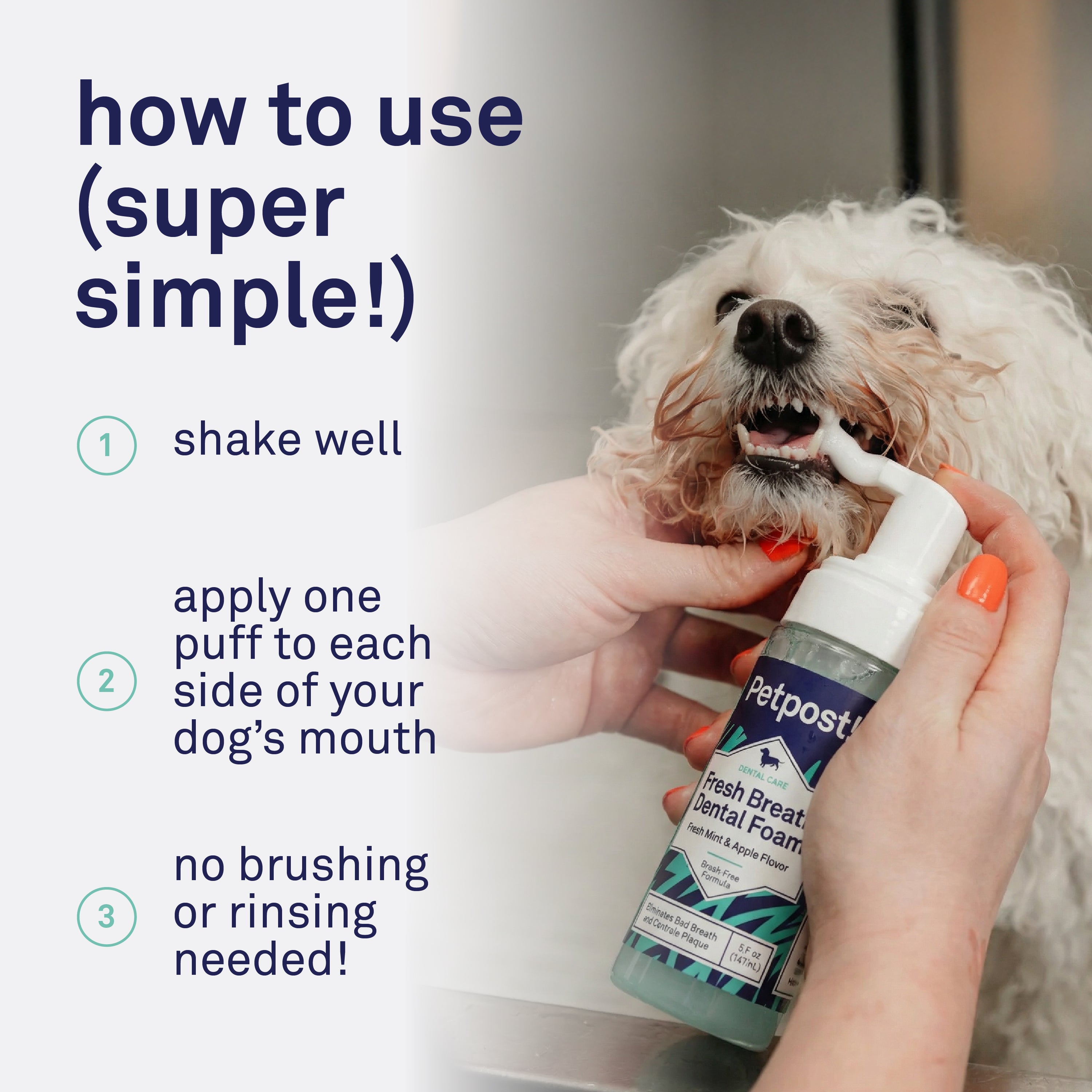Petpost Fresh Breath Foam for Dogs - Mint & Apple Flavored Dental Foam - Natural Breath Freshener & Plaque Remover - No-Brush Tooth Cleaning Solution