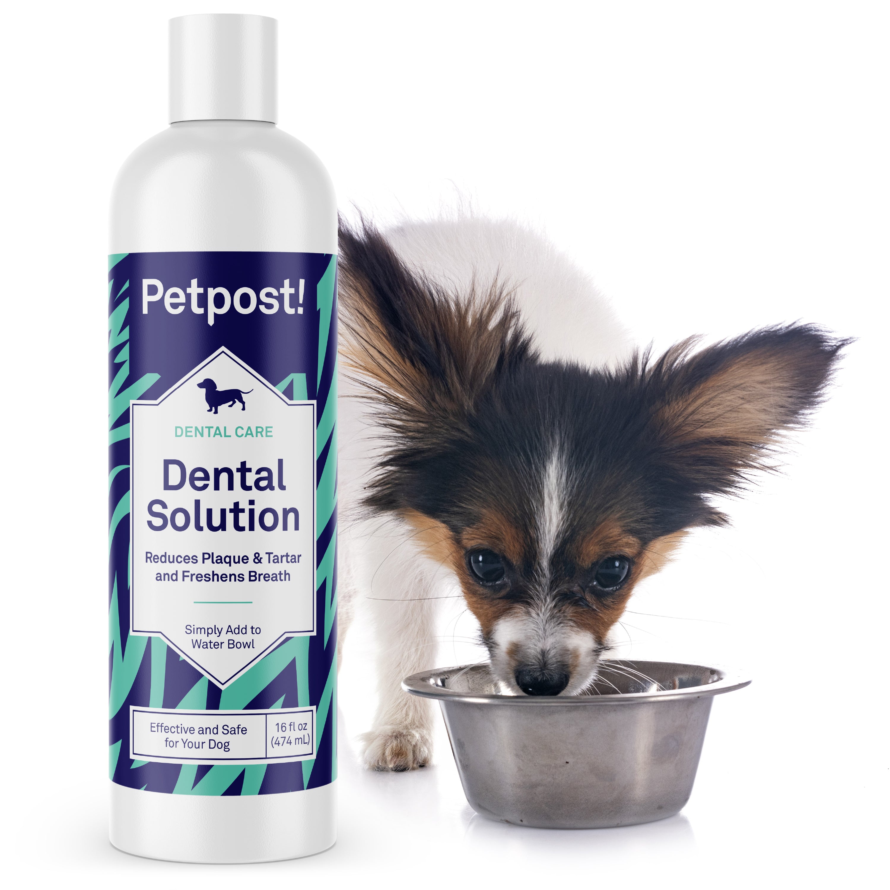 Petpost Dental Solution for Dogs - Water Additive for Bad Breath & Plaque - Apple, Peppermint & Spearmint - Brush-Free Daily Tooth Cleaning - 16 oz